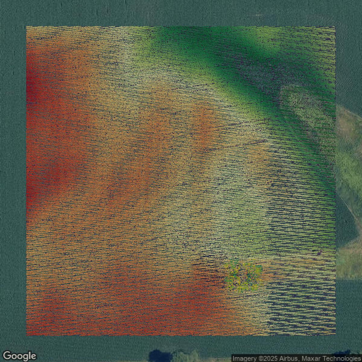 This image shows a LiDAR point cloud in DuPage County created using GIS data in Equator.