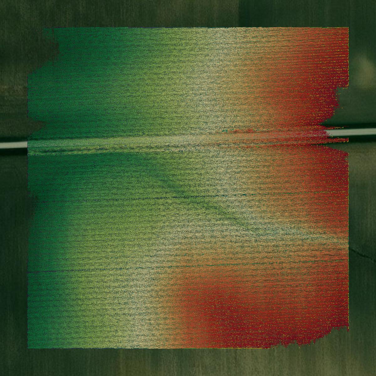 This image shows a LiDAR point cloud in Edgar County created using GIS data in Equator.