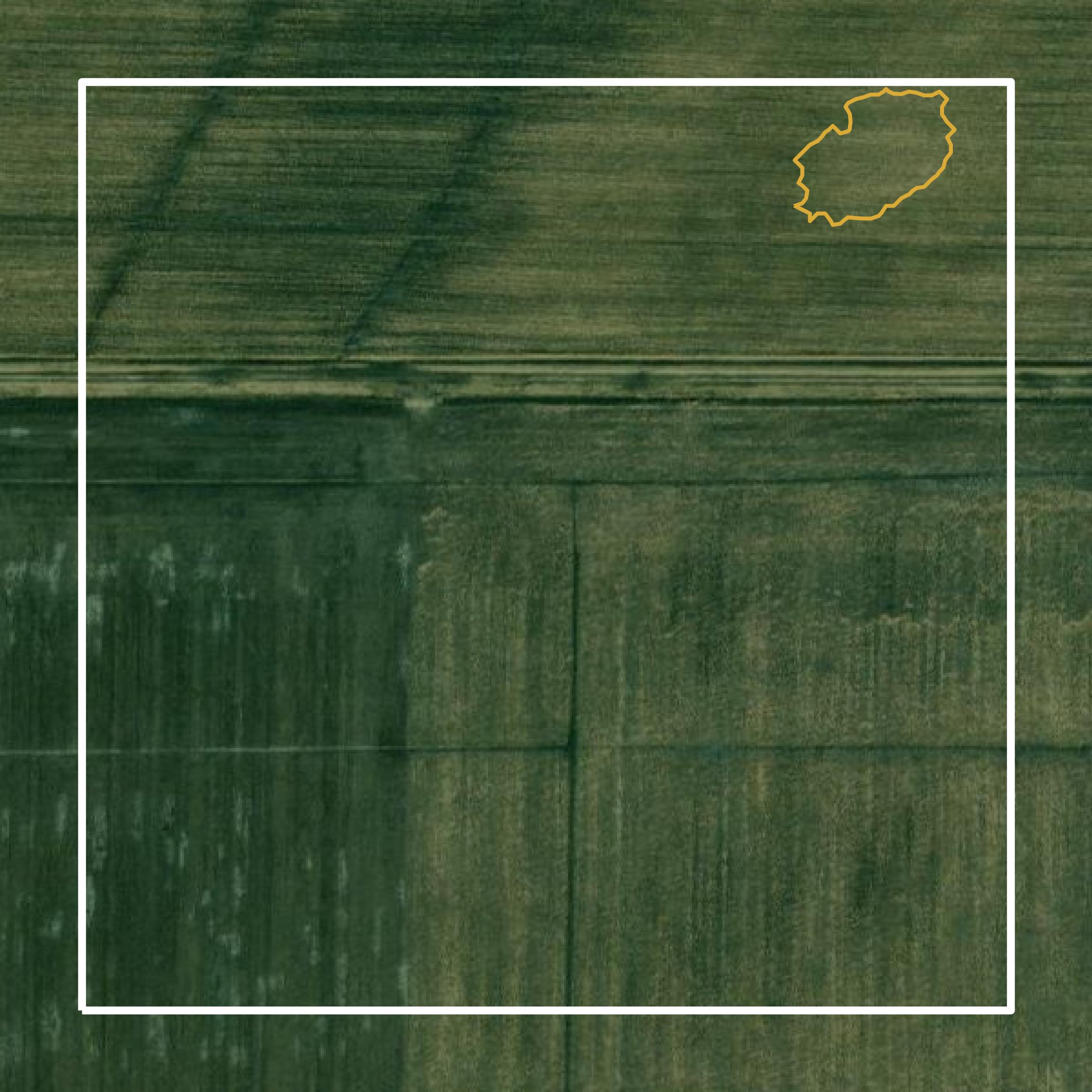 This image shows a contour map in Effingham County created using GIS data in Equator.