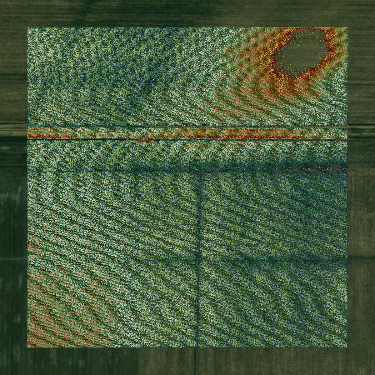This image shows a LiDAR point cloud in Effingham County created using GIS data in Equator.