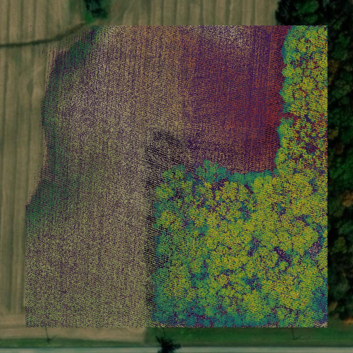 This image shows a LiDAR point cloud in Franklin County created using GIS data in Equator.