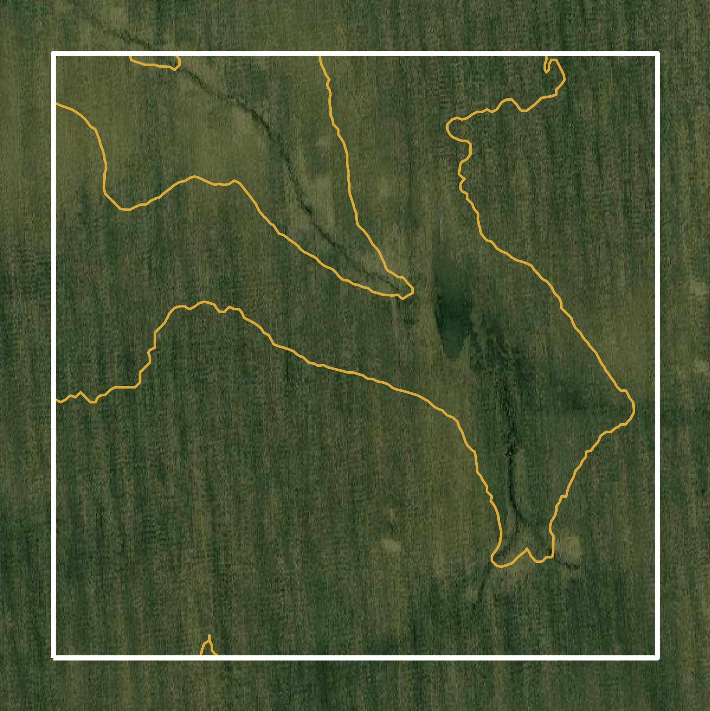 This image shows a contour map in Greene County created using GIS data in Equator.