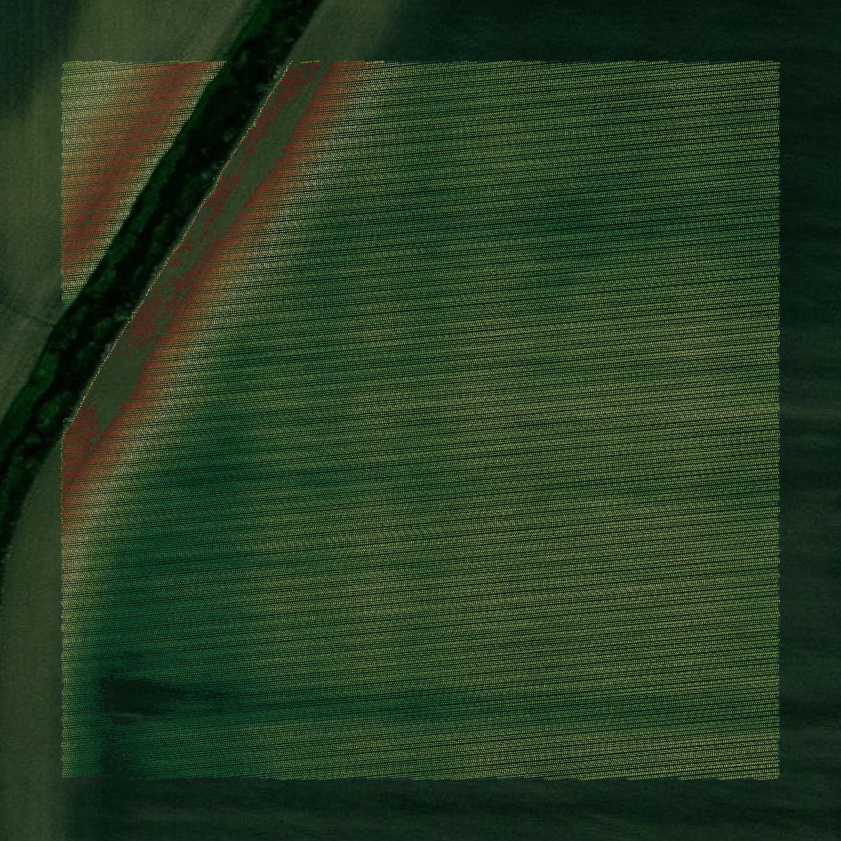 This image shows a LiDAR point cloud in Greene County created using GIS data in Equator.