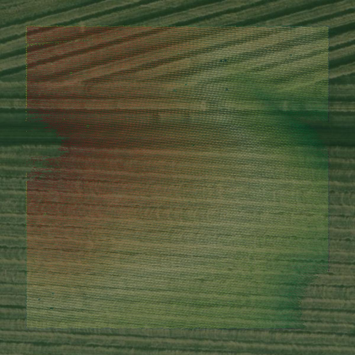 This image shows a LiDAR point cloud in Hancock County created using GIS data in Equator.