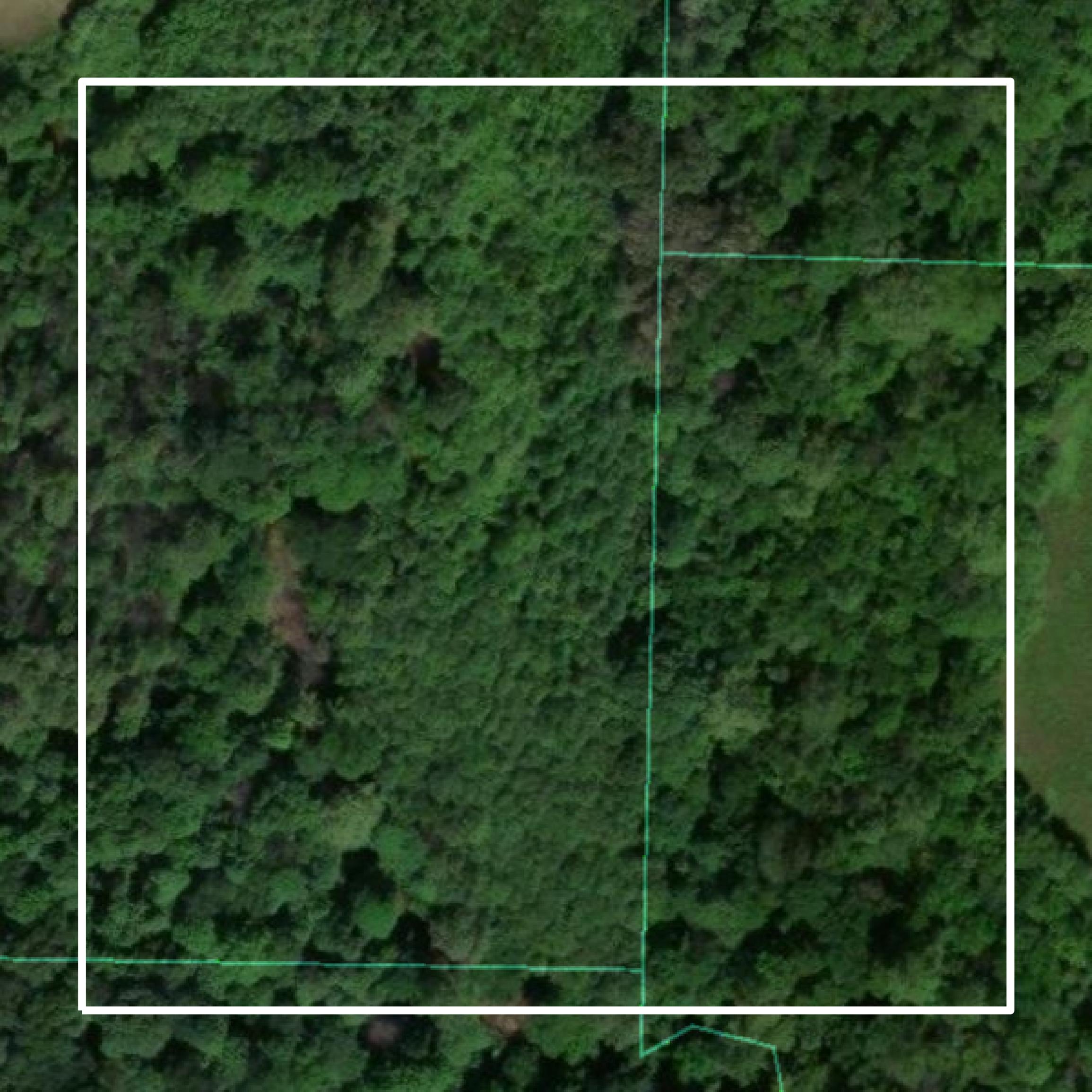 This image shows parcel and building data in Hardin County created using GIS data in Equator.