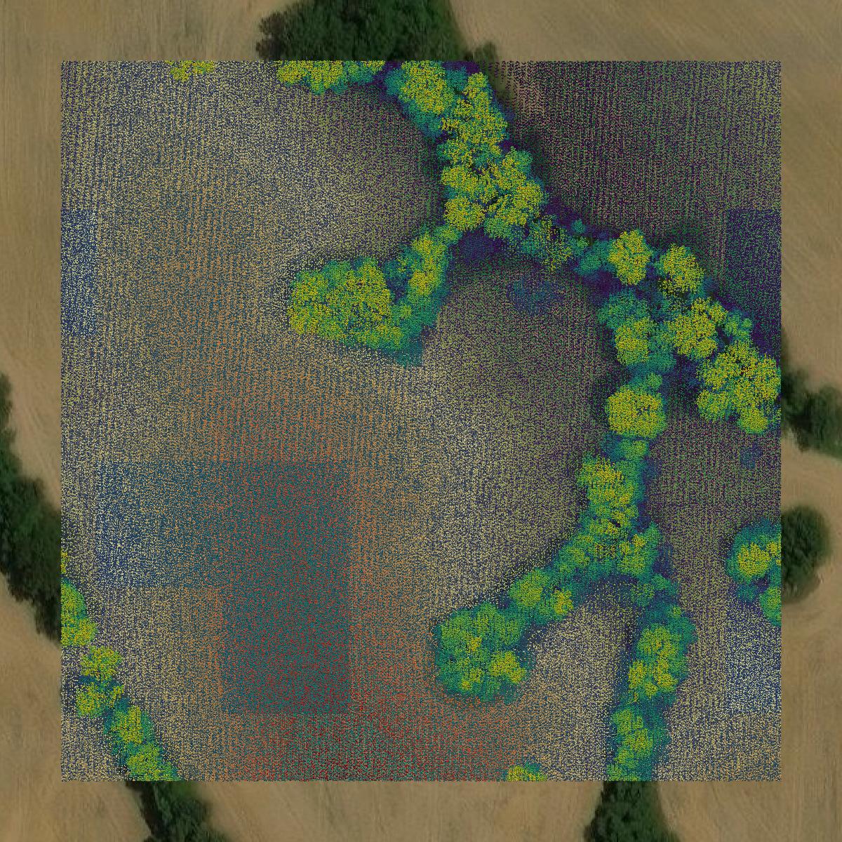 This image shows a LiDAR point cloud in Hardin County created using GIS data in Equator.