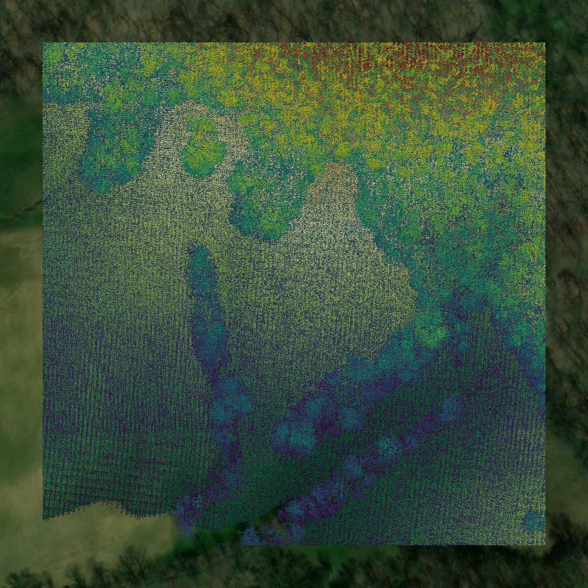 This image shows a LiDAR point cloud in Hardin County created using GIS data in Equator.
