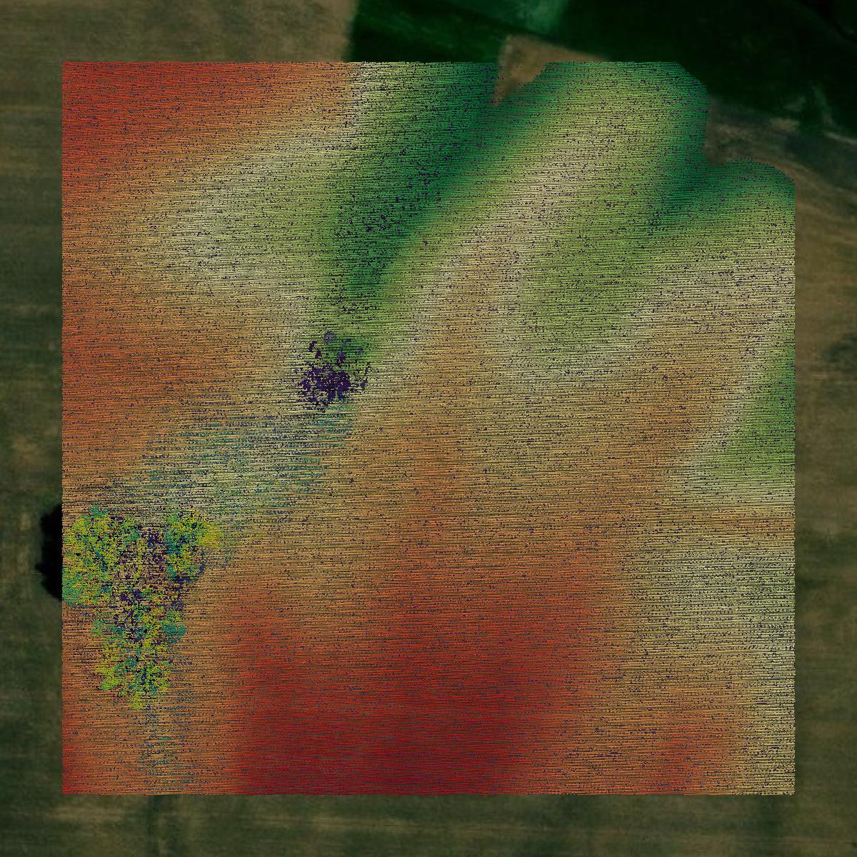 This image shows a LiDAR point cloud in Henderson County created using GIS data in Equator.