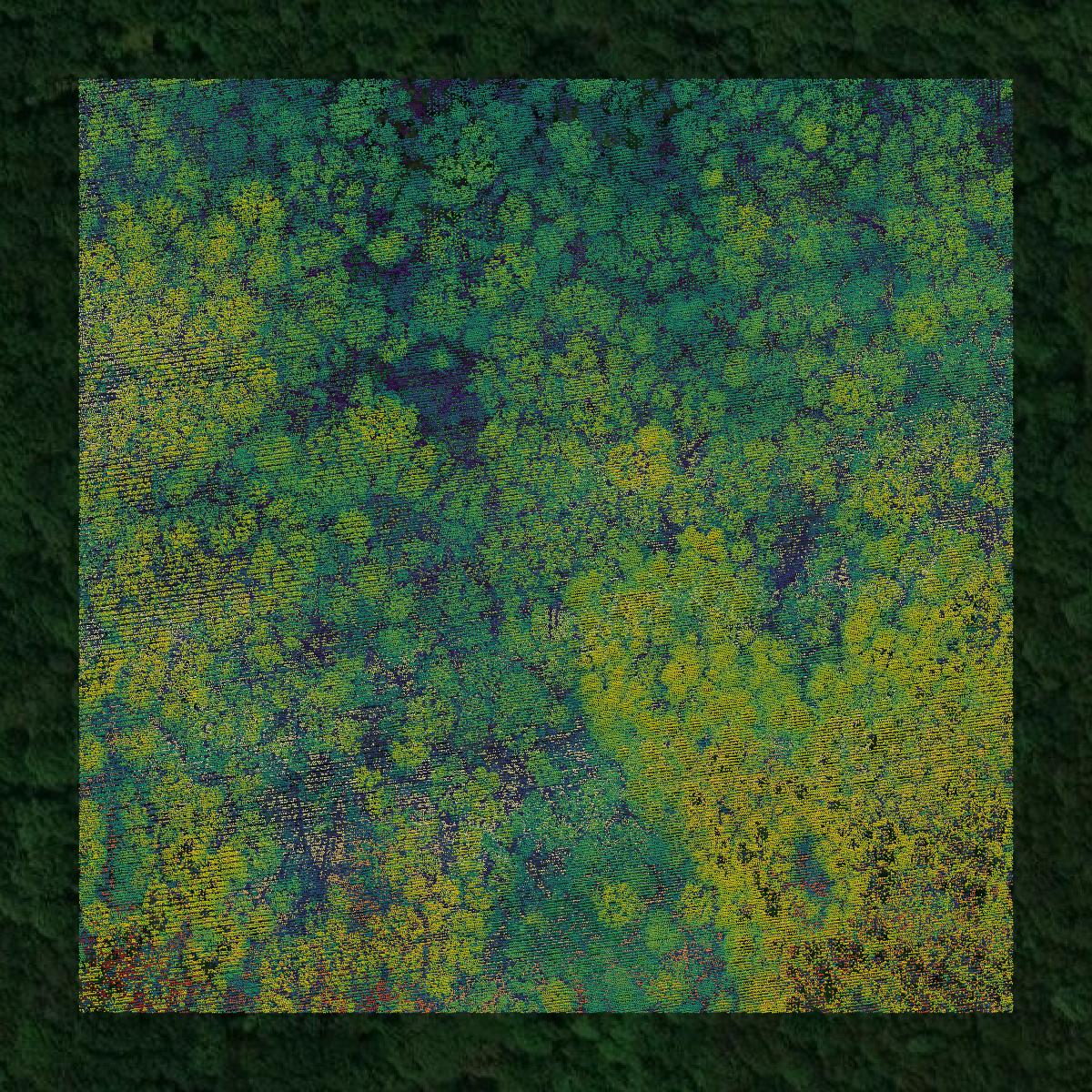 This image shows a LiDAR point cloud in Johnson County created using GIS data in Equator.