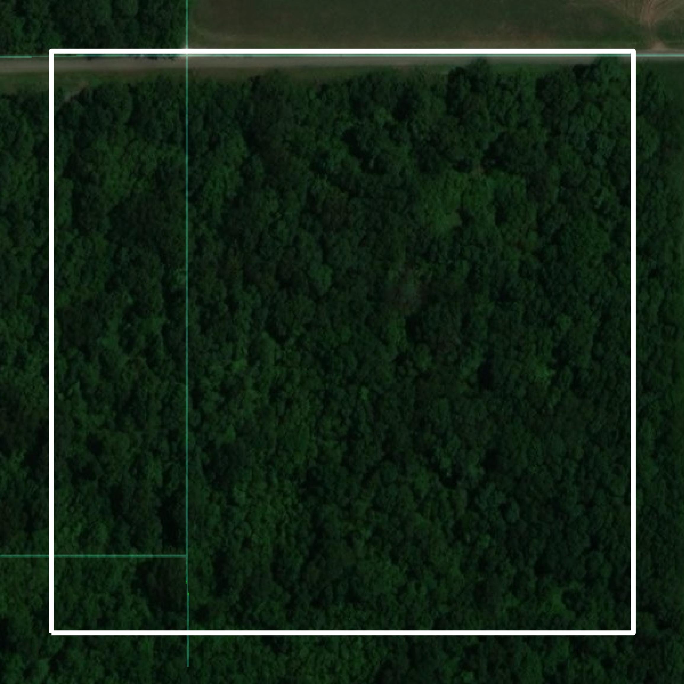 This image shows parcel and building data in Lake County created using GIS data in Equator.