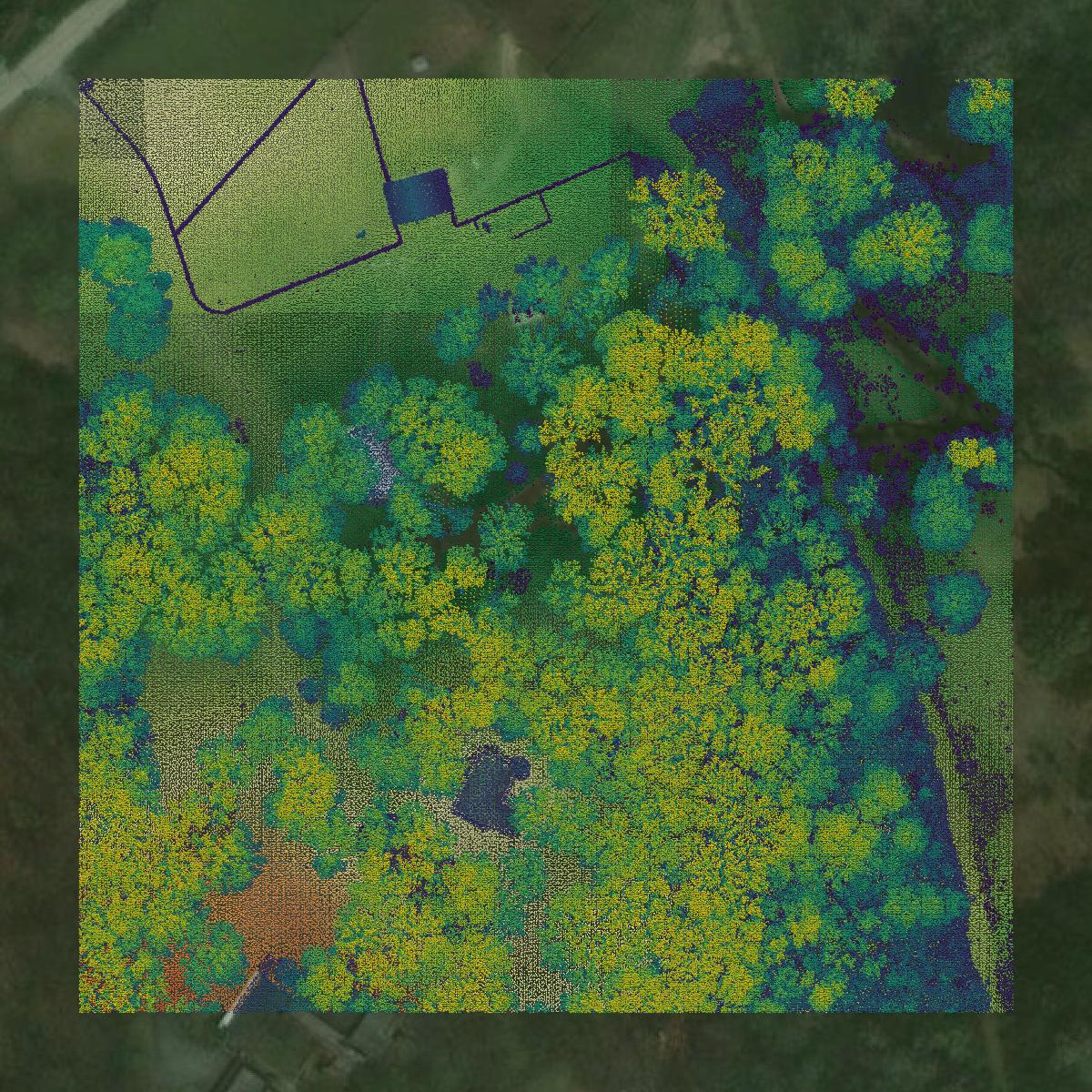 This image shows a LiDAR point cloud in Lake County created using GIS data in Equator.