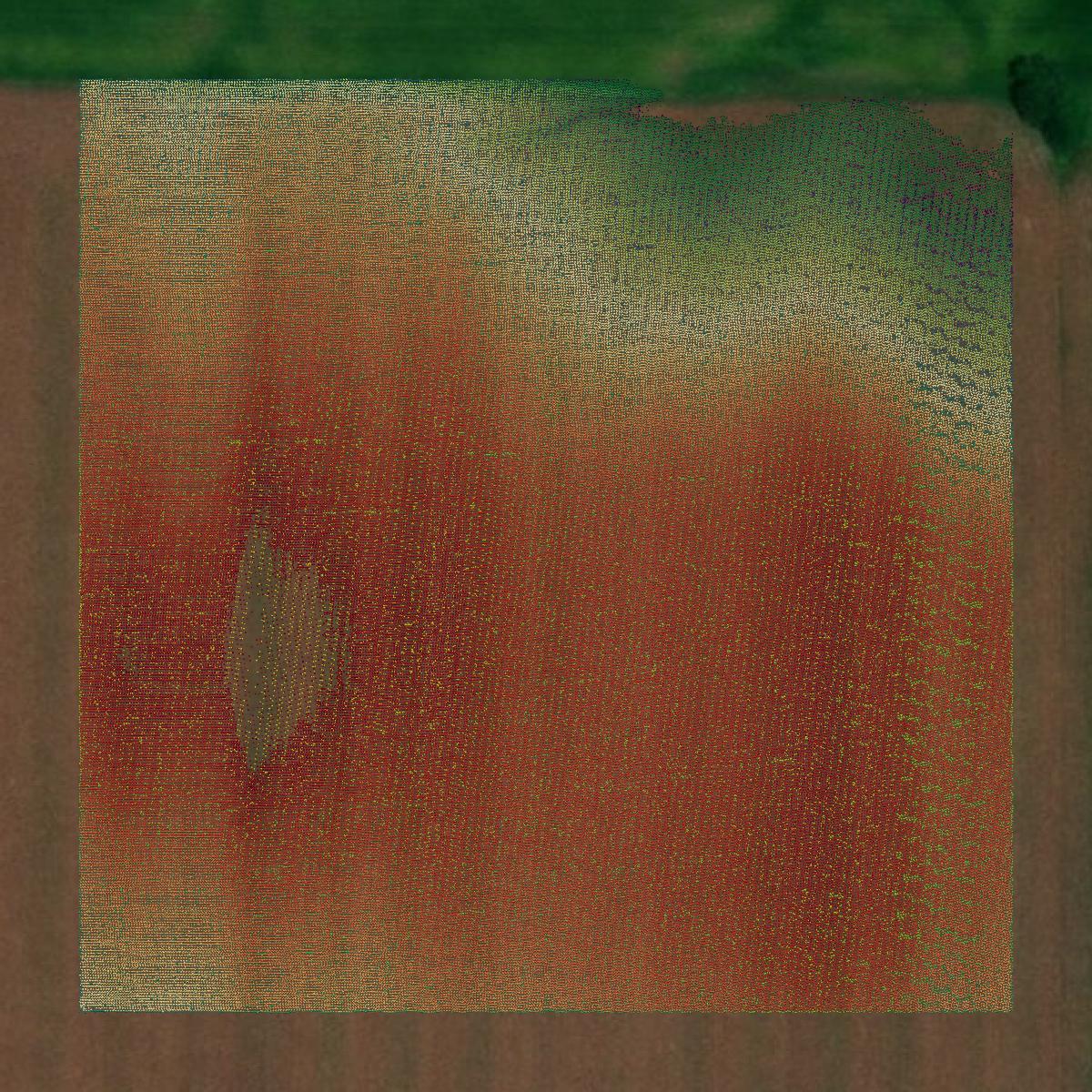 This image shows a LiDAR point cloud in Lawrence County created using GIS data in Equator.