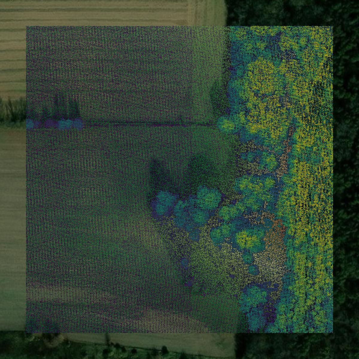 This image shows a LiDAR point cloud in Lee County created using GIS data in Equator.