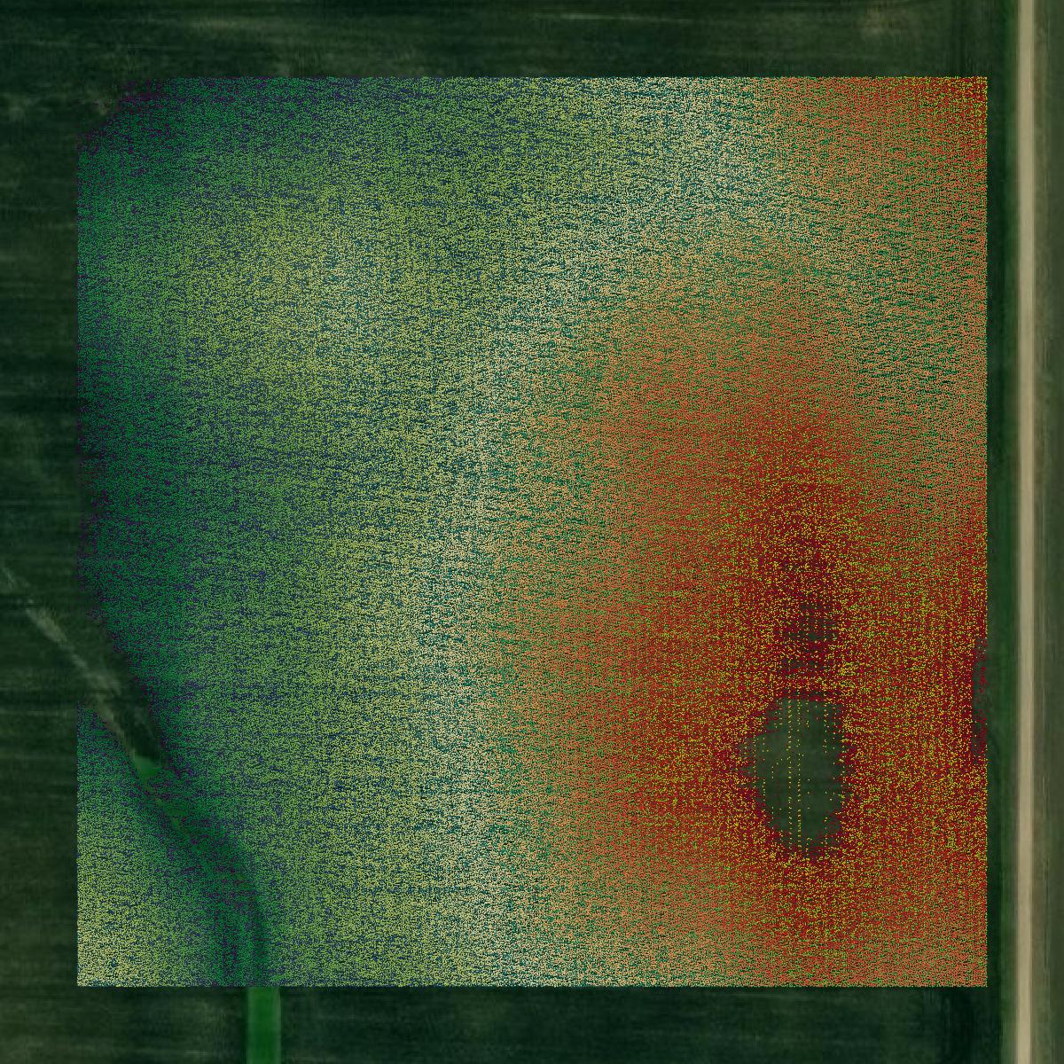 This image shows a LiDAR point cloud in Lee County created using GIS data in Equator.