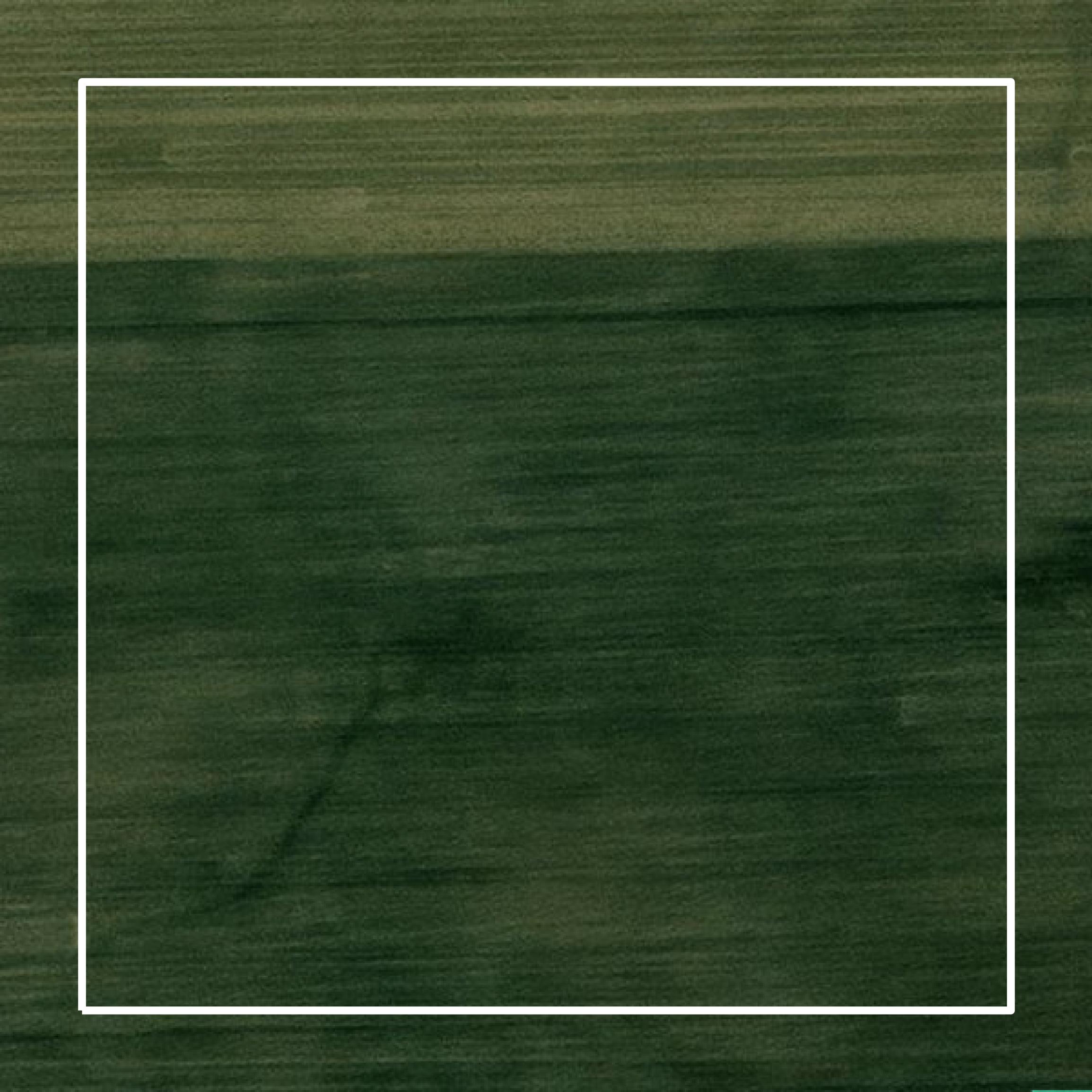 This image shows parcel and building data in Livingston County created using GIS data in Equator.