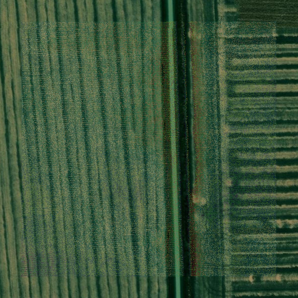 This image shows a LiDAR point cloud in Livingston County created using GIS data in Equator.