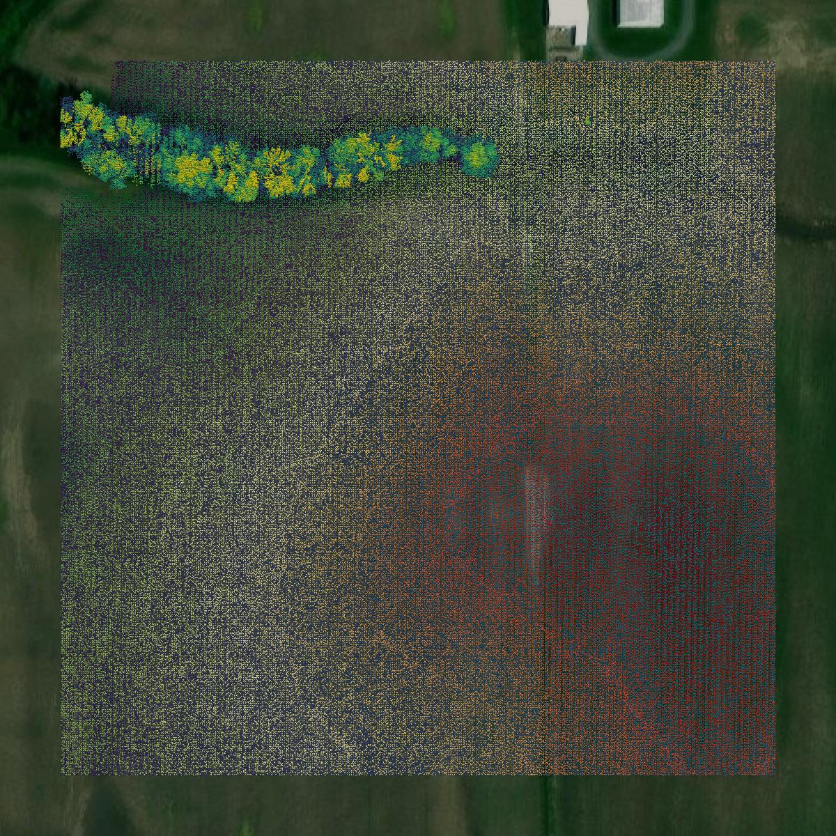 This image shows a LiDAR point cloud in Madison County created using GIS data in Equator.