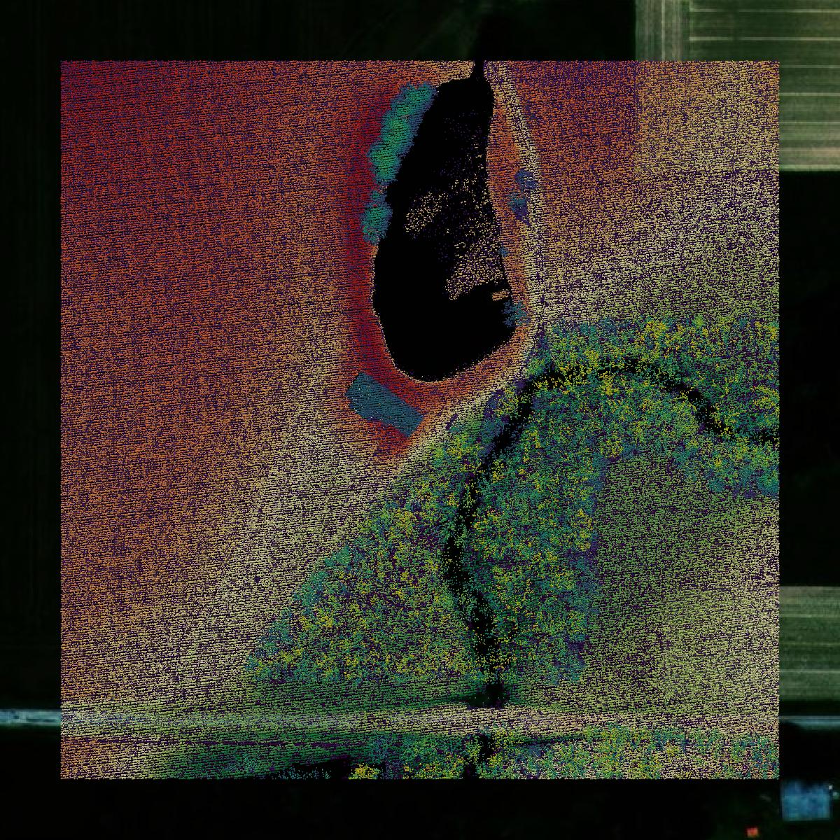 This image shows a LiDAR point cloud in Marion County created using GIS data in Equator.