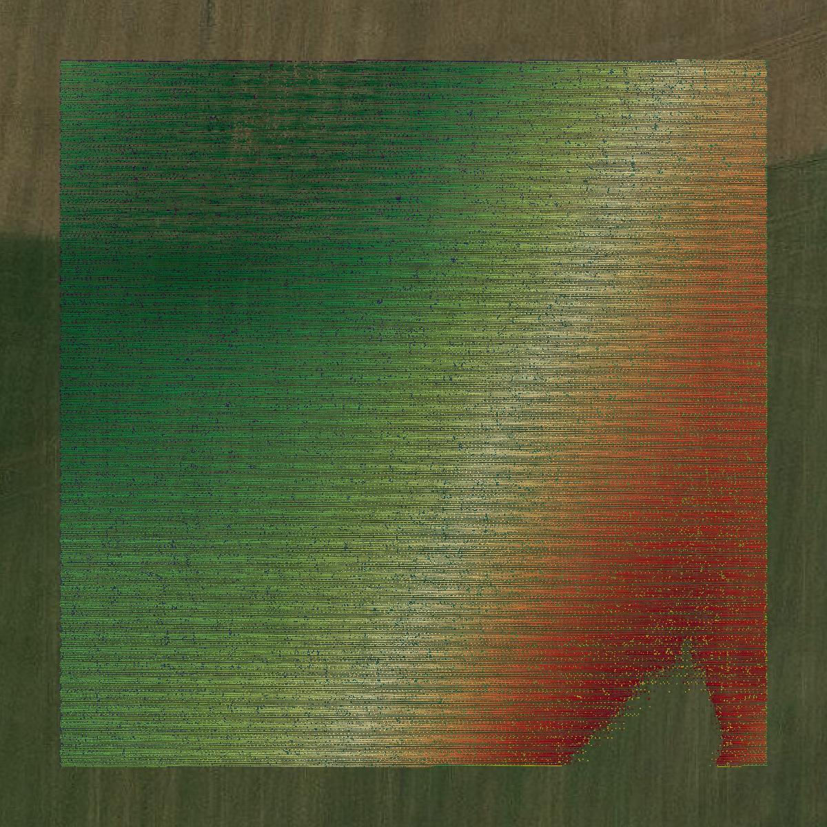 This image shows a LiDAR point cloud in Marshall County created using GIS data in Equator.