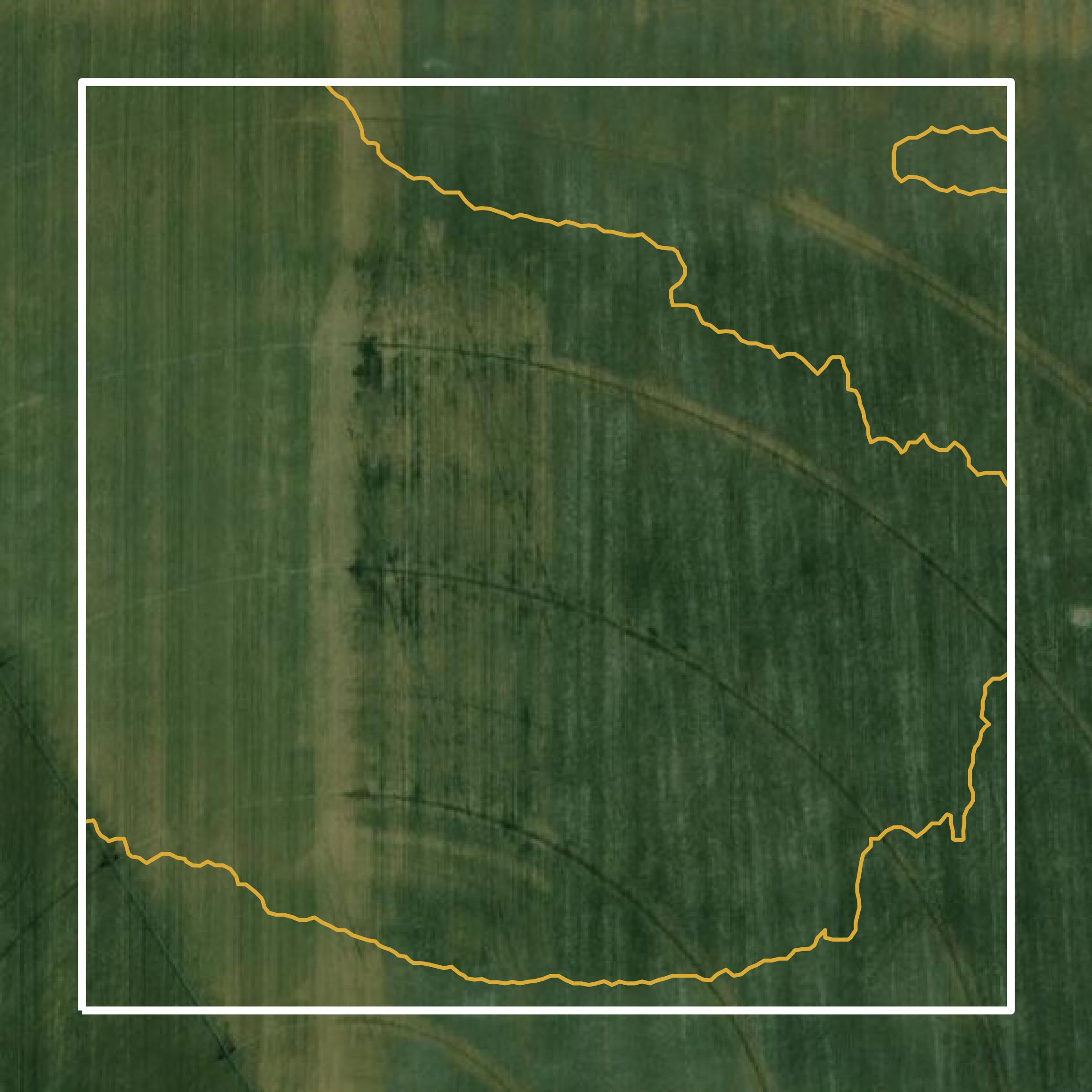 This image shows a contour map in Mason County created using GIS data in Equator.