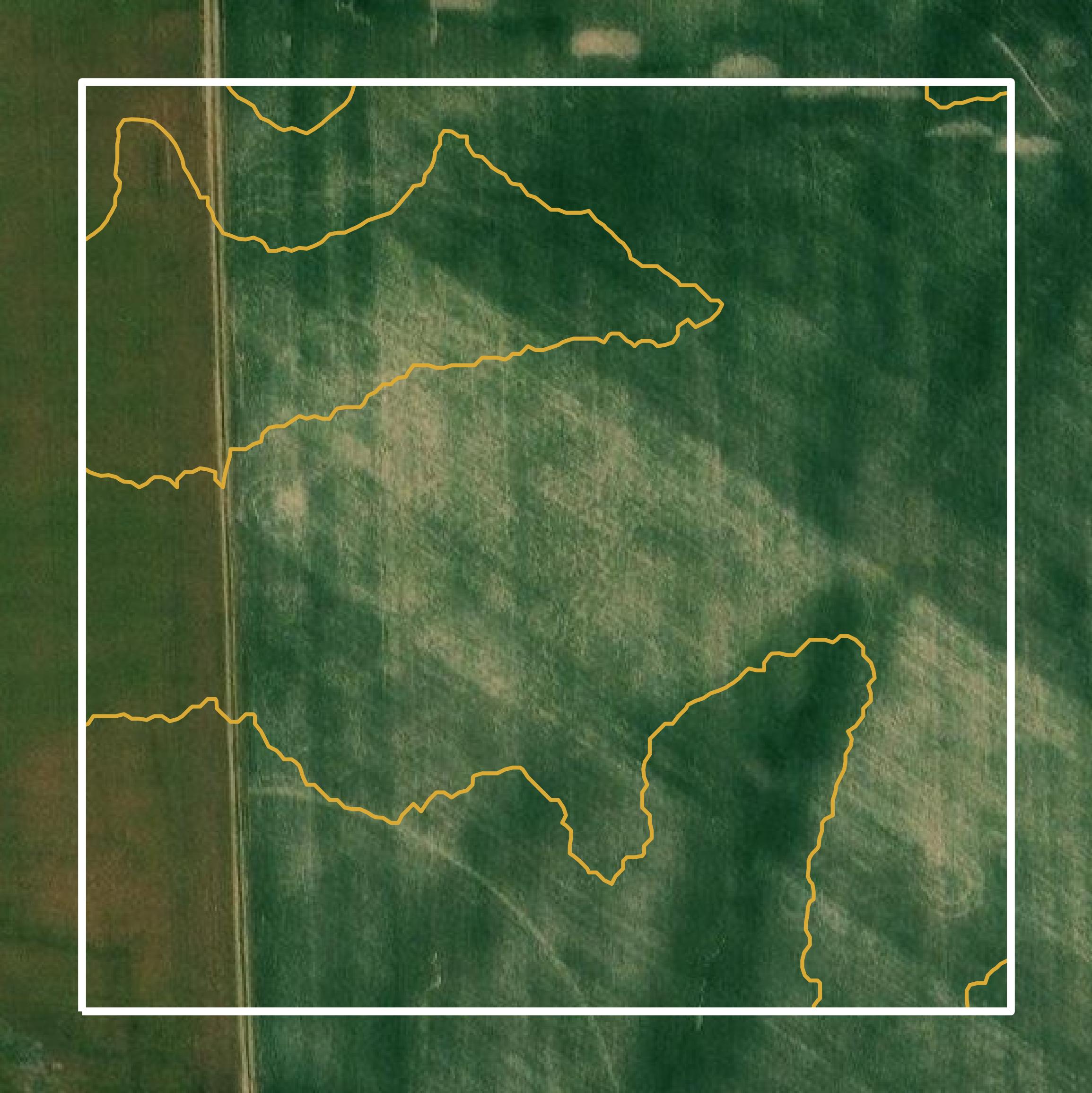 This image shows a contour map in Massac County created using GIS data in Equator.