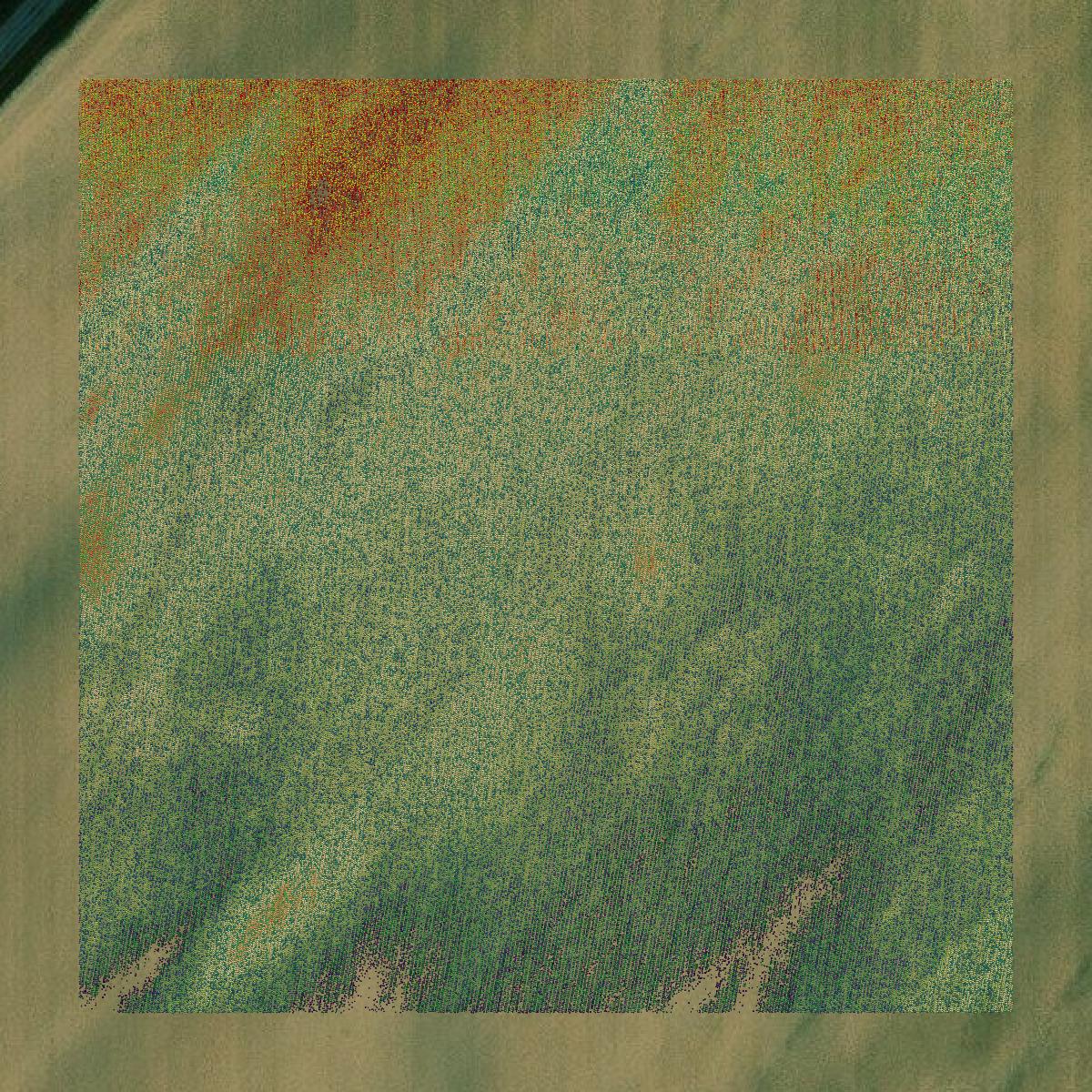 This image shows a LiDAR point cloud in Massac County created using GIS data in Equator.