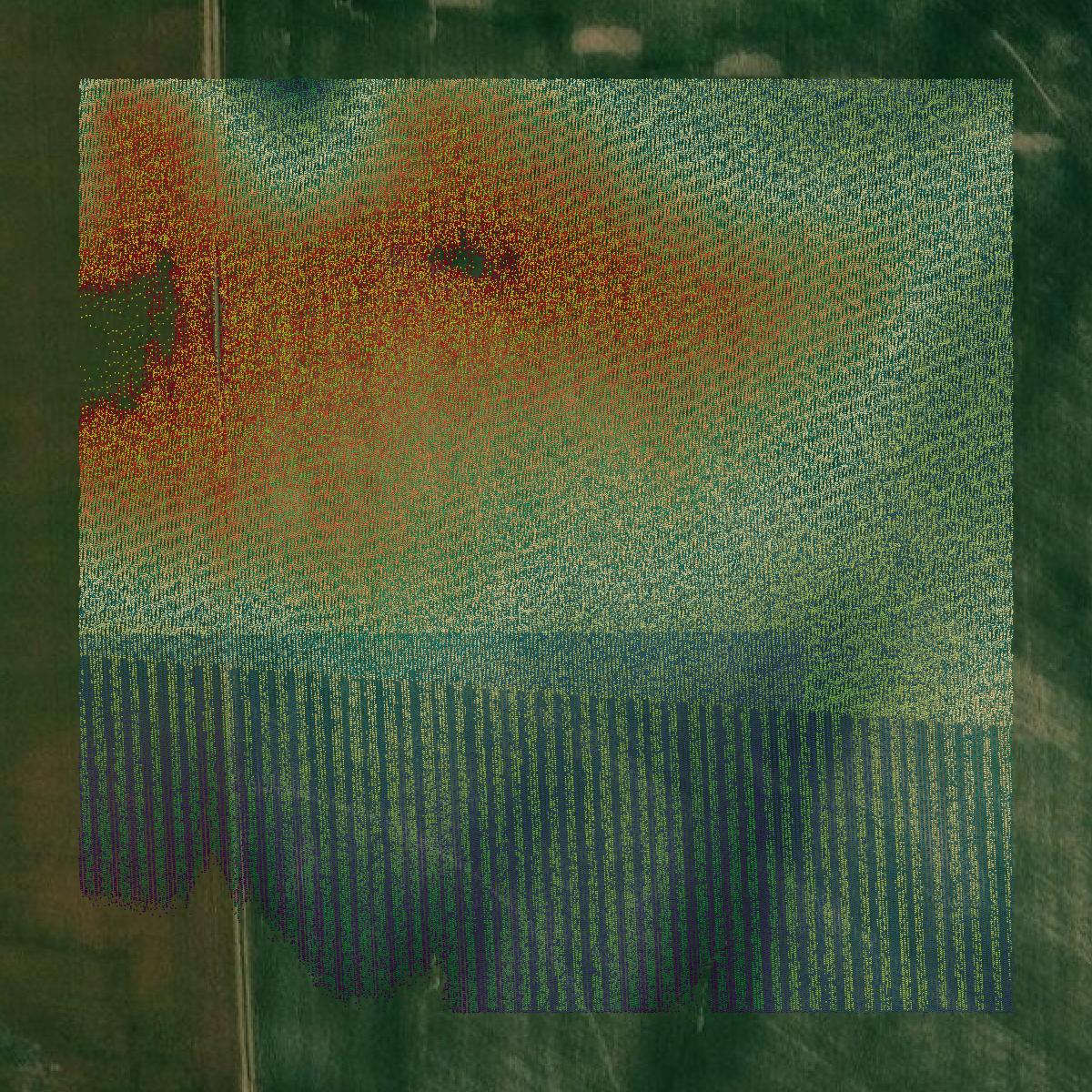 This image shows a LiDAR point cloud in Massac County created using GIS data in Equator.