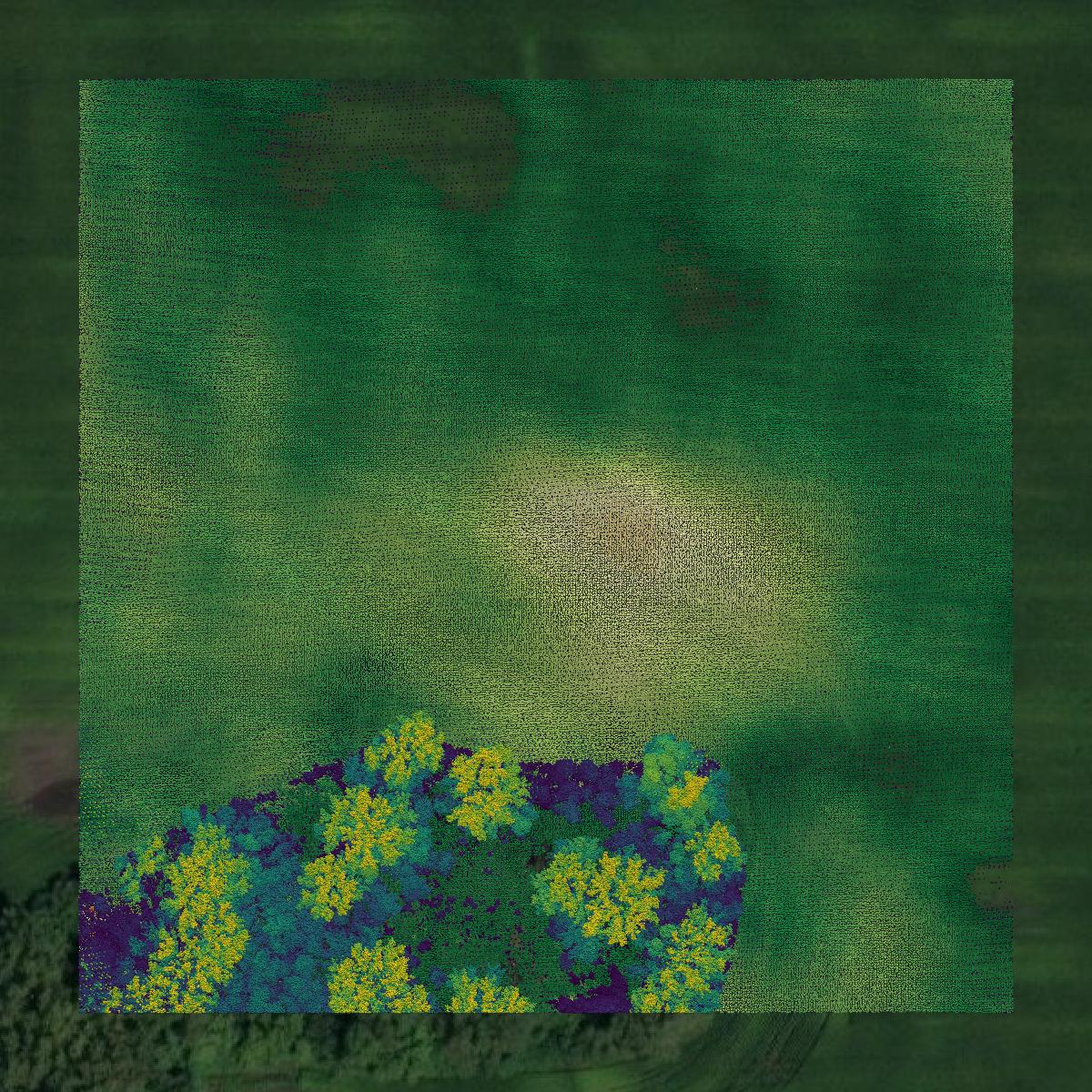 This image shows a LiDAR point cloud in McHenry County created using GIS data in Equator.