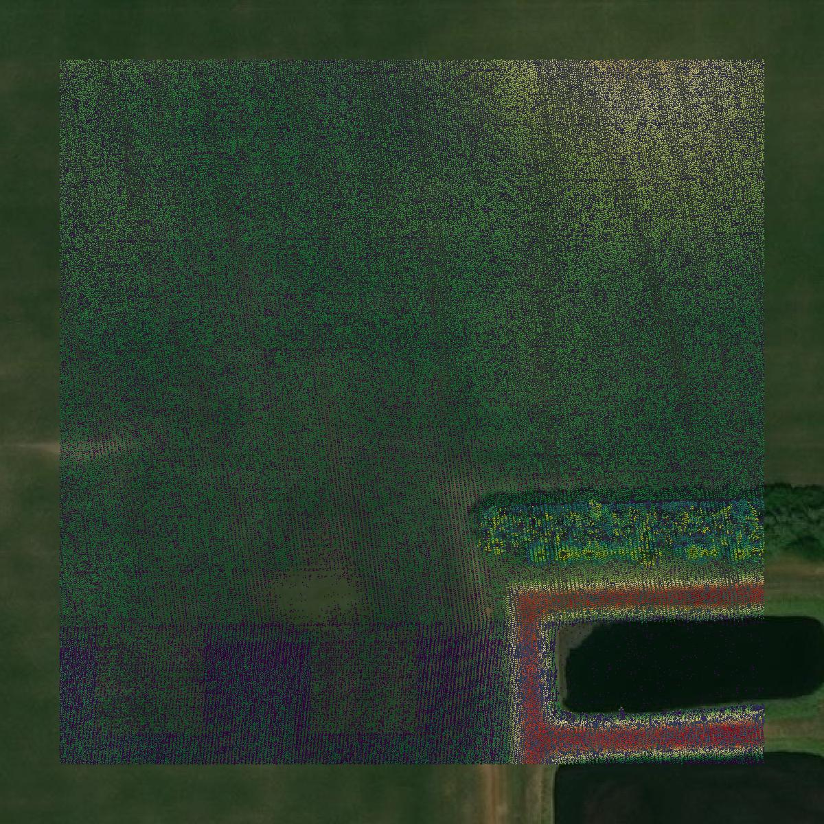 This image shows a LiDAR point cloud in Menard County created using GIS data in Equator.