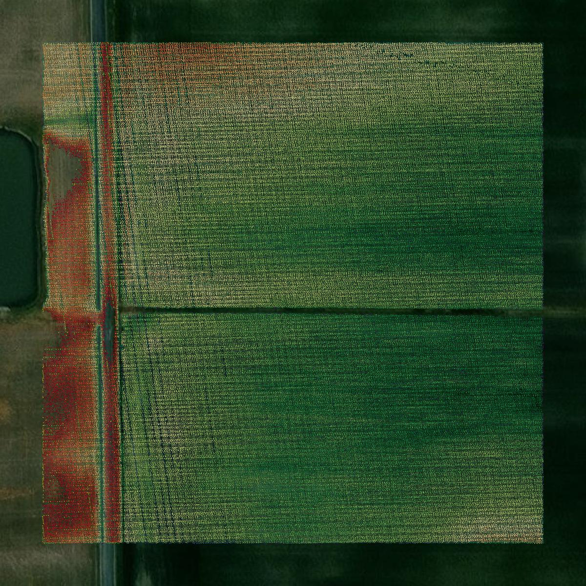 This image shows a LiDAR point cloud in Montgomery County created using GIS data in Equator.