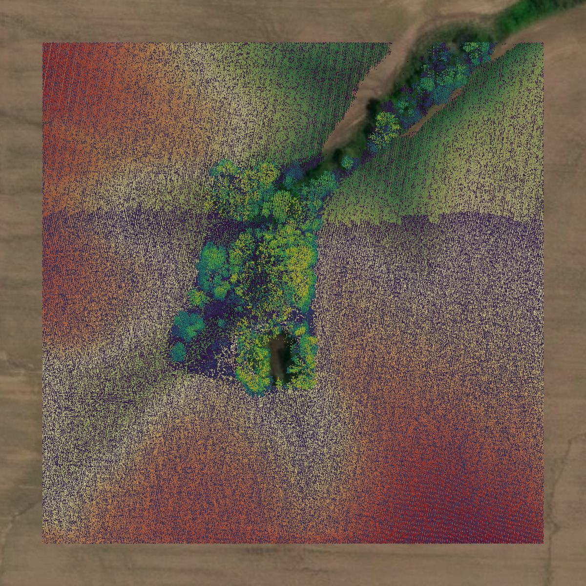 This image shows a LiDAR point cloud in Perry County created using GIS data in Equator.