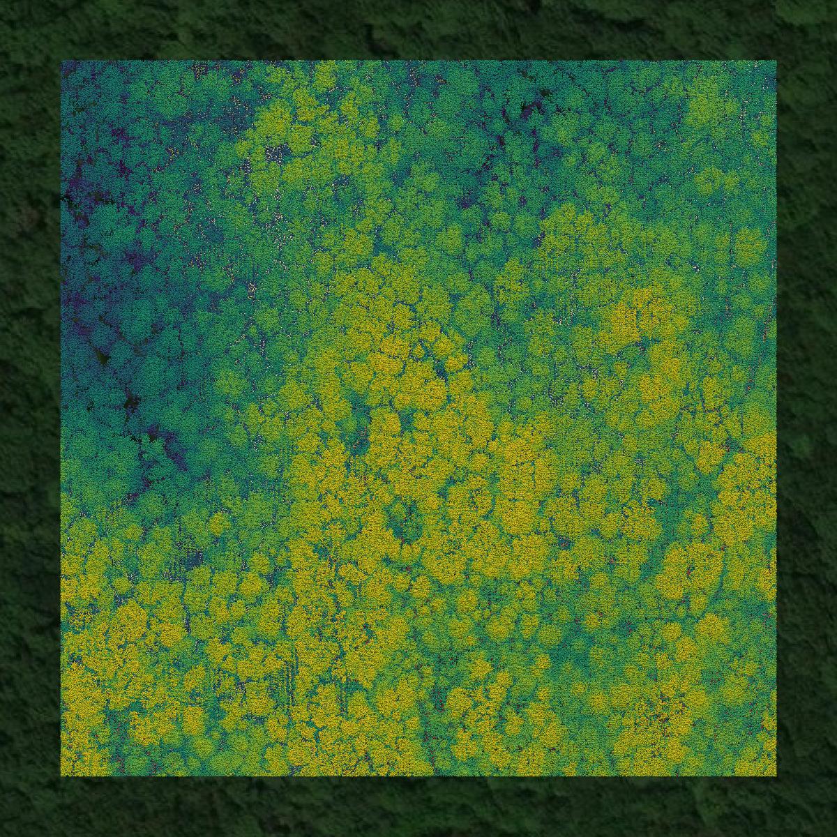 This image shows a LiDAR point cloud in Pope County created using GIS data in Equator.