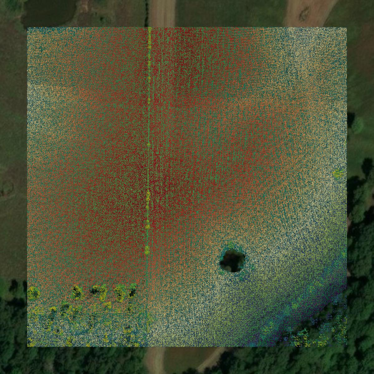 This image shows a LiDAR point cloud in Pope County created using GIS data in Equator.