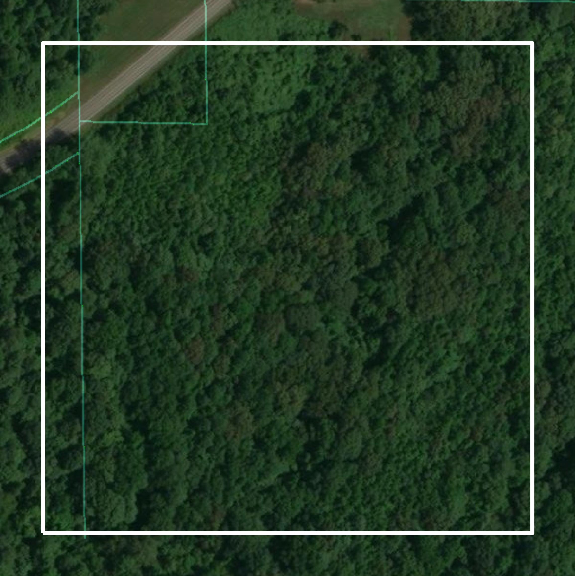 This image shows parcel and building data in Pulaski County created using GIS data in Equator.