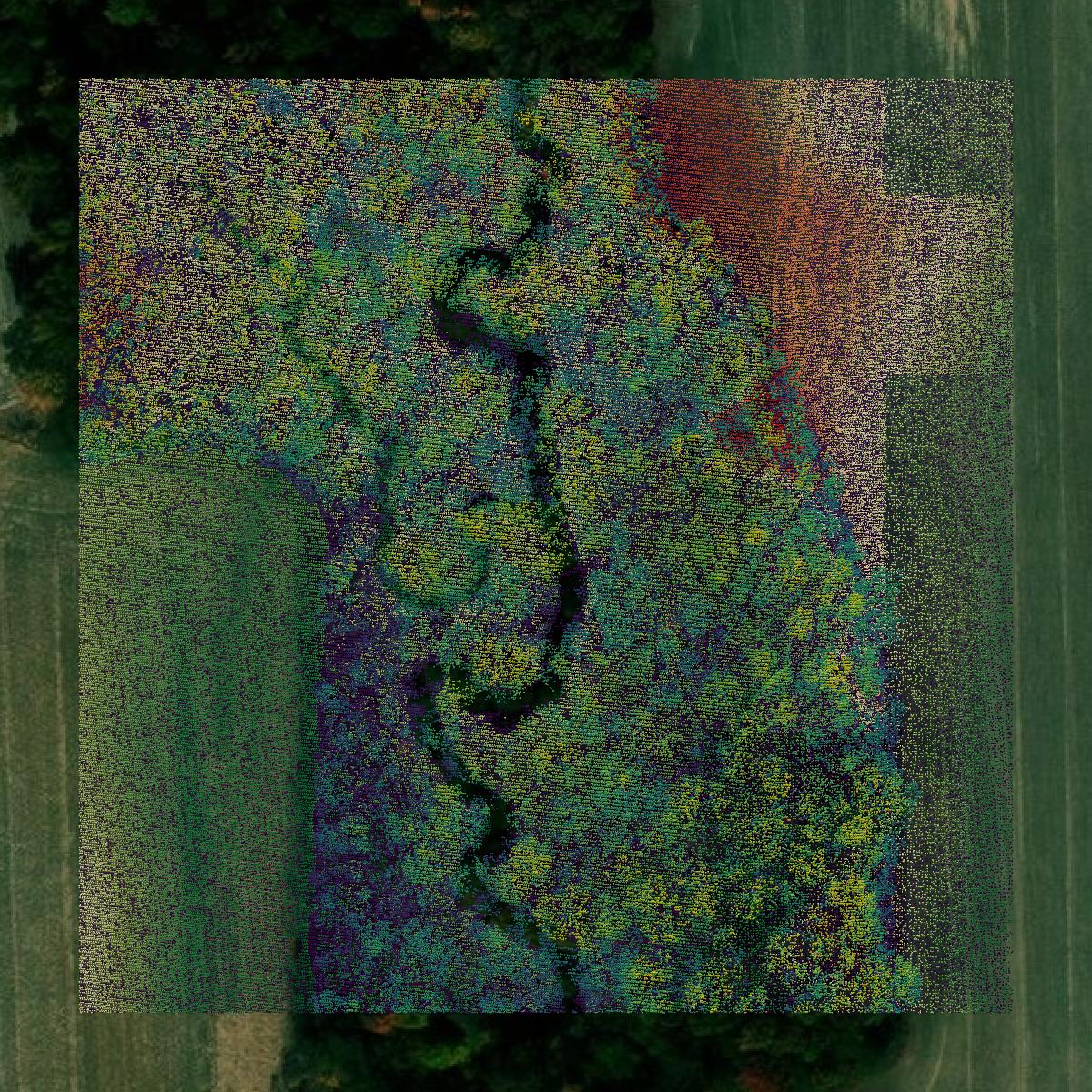 This image shows a LiDAR point cloud in Pulaski County created using GIS data in Equator.