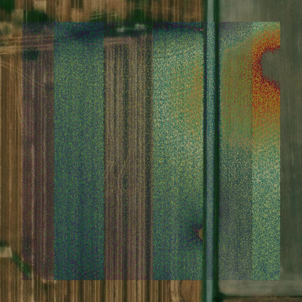 This image shows a LiDAR point cloud in Randolph County created using GIS data in Equator.