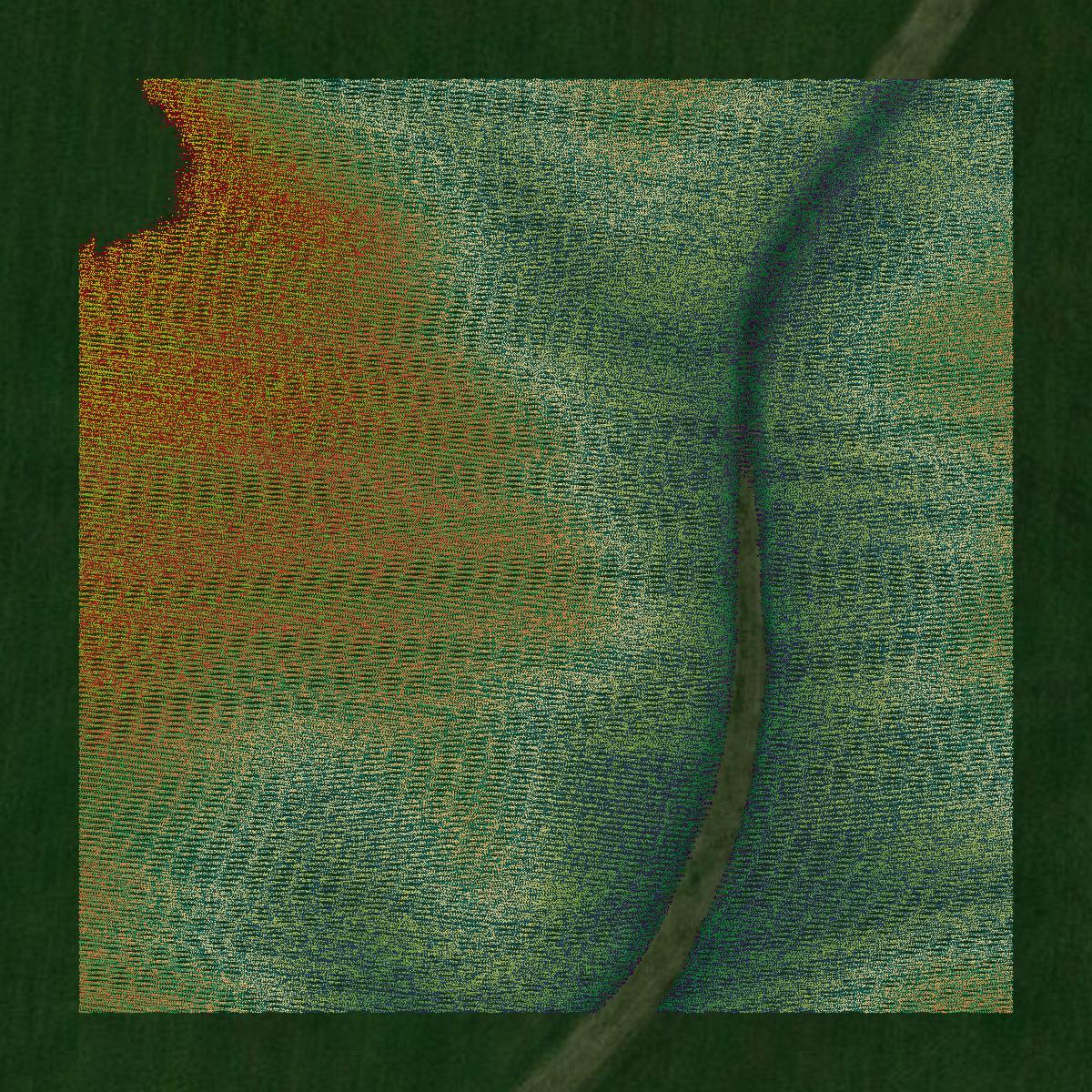 This image shows a LiDAR point cloud in Sangamon County created using GIS data in Equator.