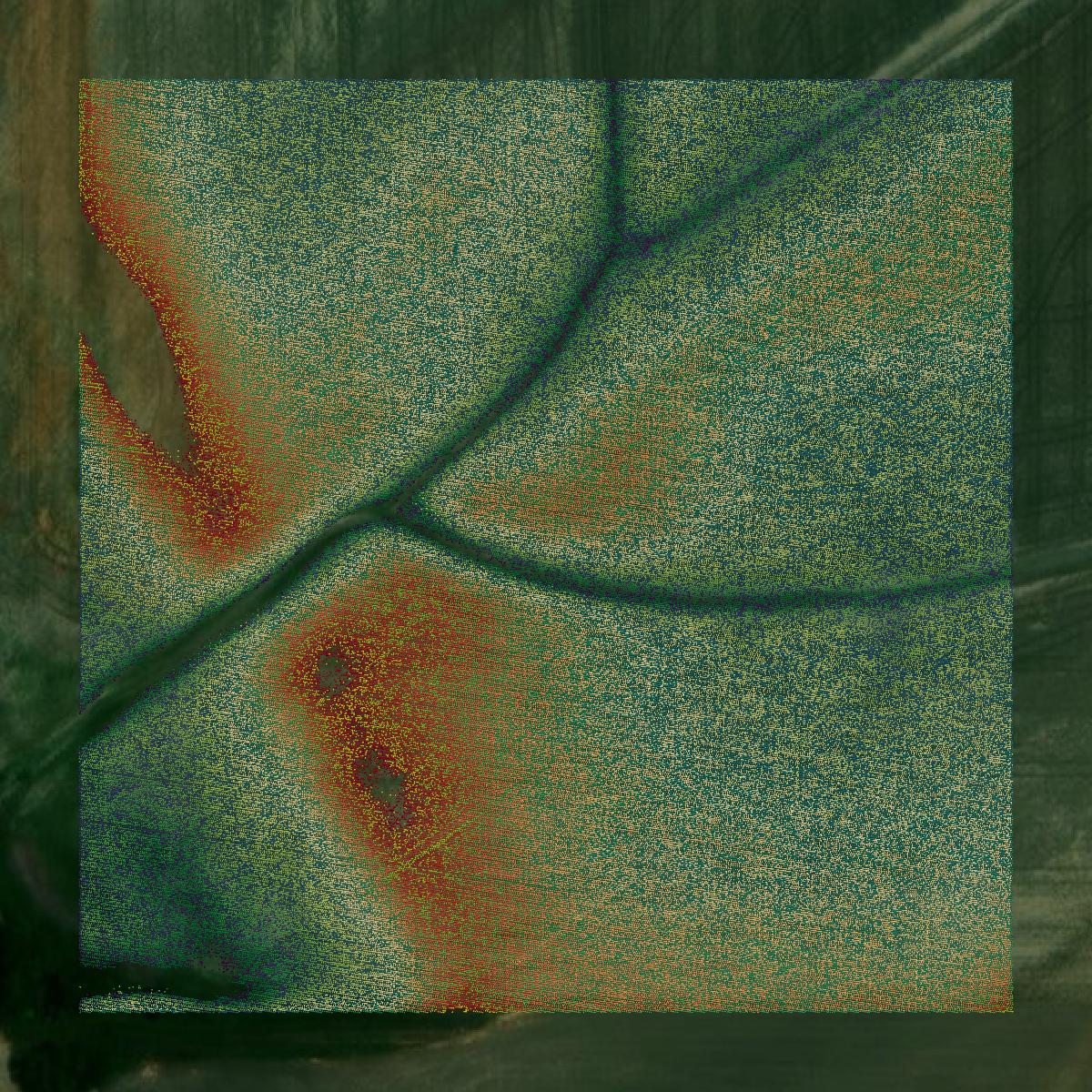 This image shows a LiDAR point cloud in Union County created using GIS data in Equator.