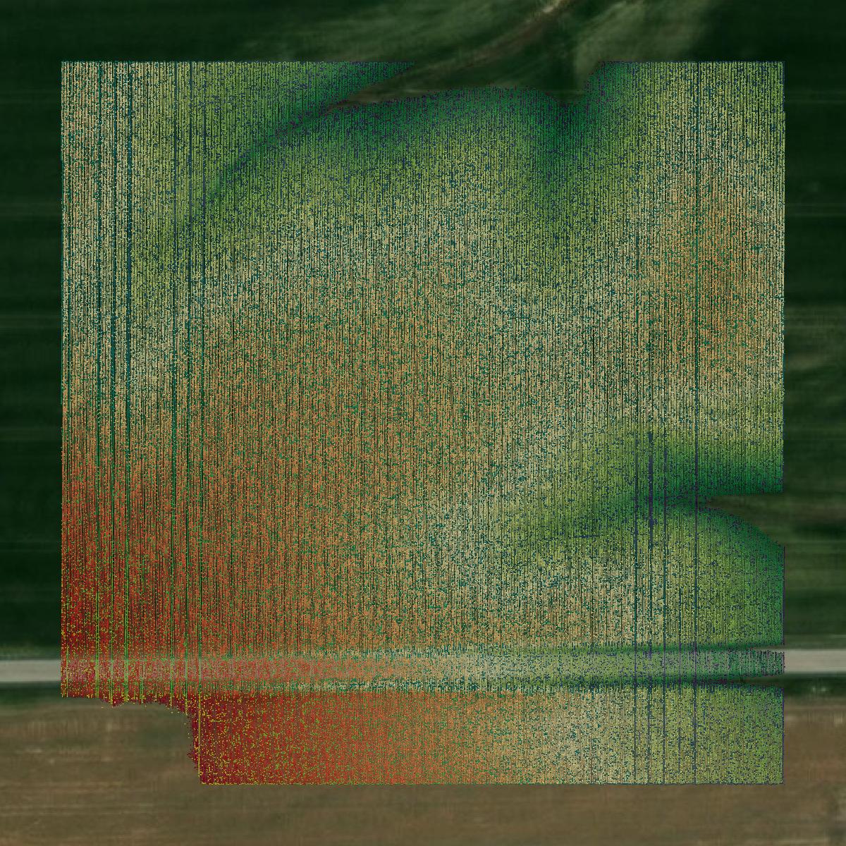 This image shows a LiDAR point cloud in Washington County created using GIS data in Equator.