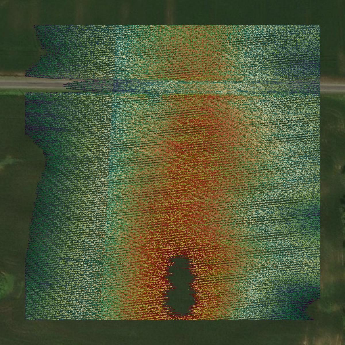 This image shows a LiDAR point cloud in Wayne County created using GIS data in Equator.