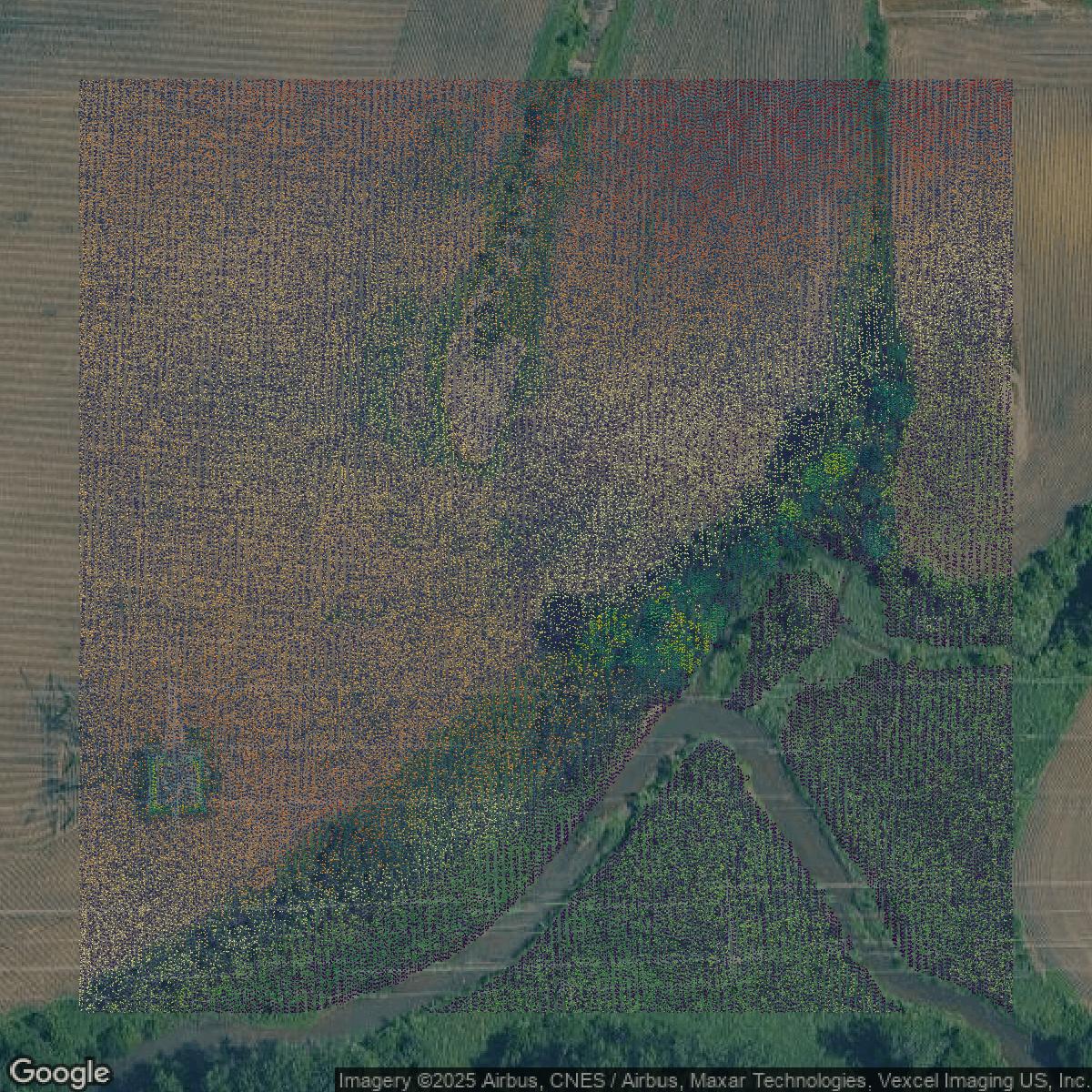 This image shows a LiDAR point cloud in Will County created using GIS data in Equator.