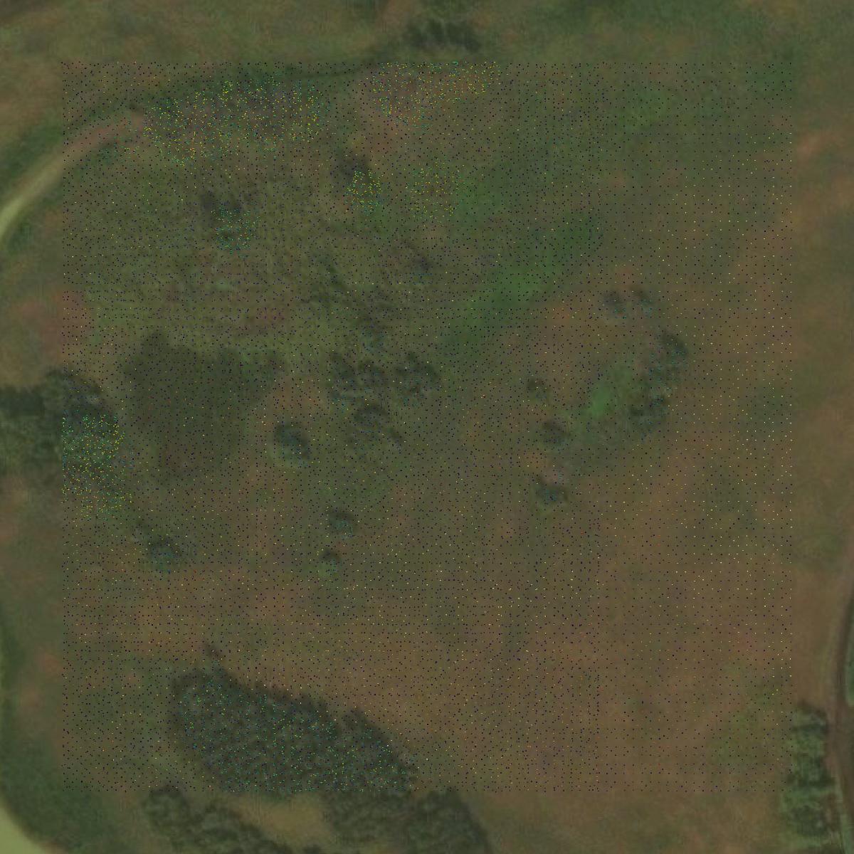 This image shows a LiDAR point cloud in Winnebago County created using GIS data in Equator.
