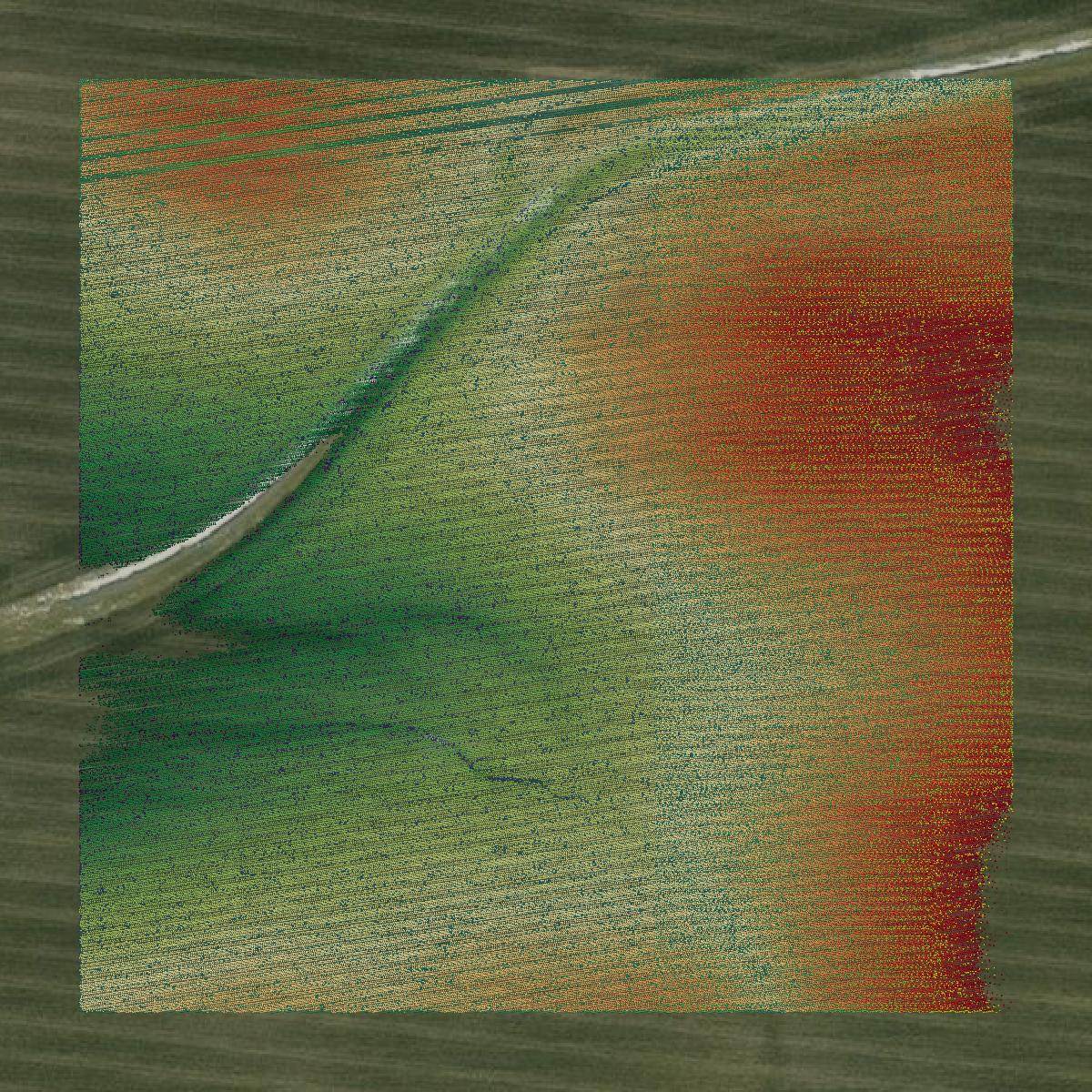 This image shows a LiDAR point cloud in Woodford County created using GIS data in Equator.