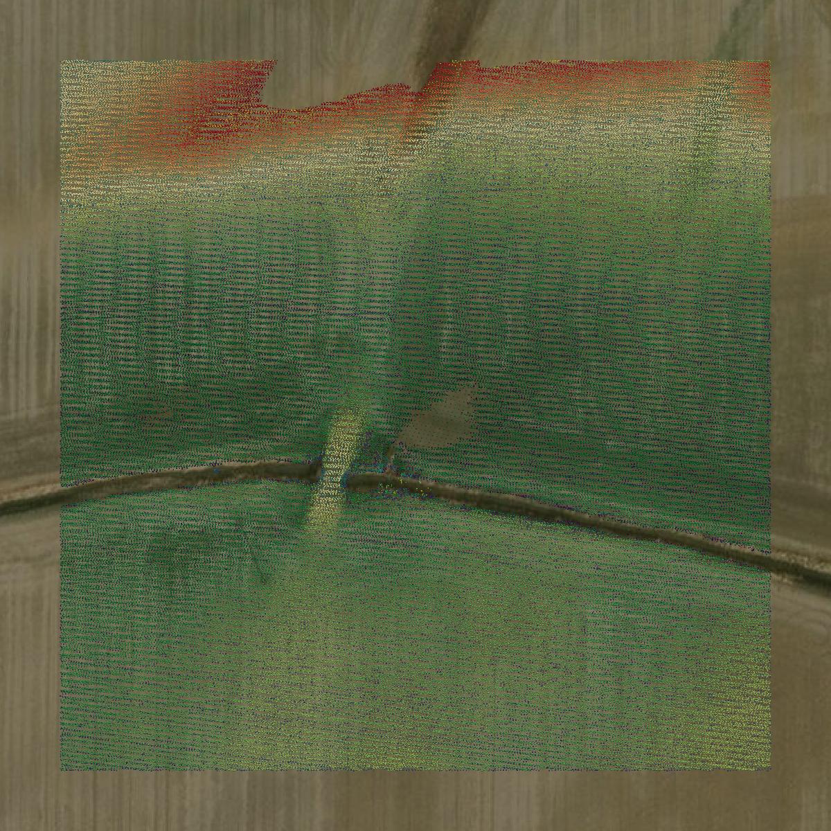 This image shows a LiDAR point cloud in Bartholomew County created using GIS data in Equator.