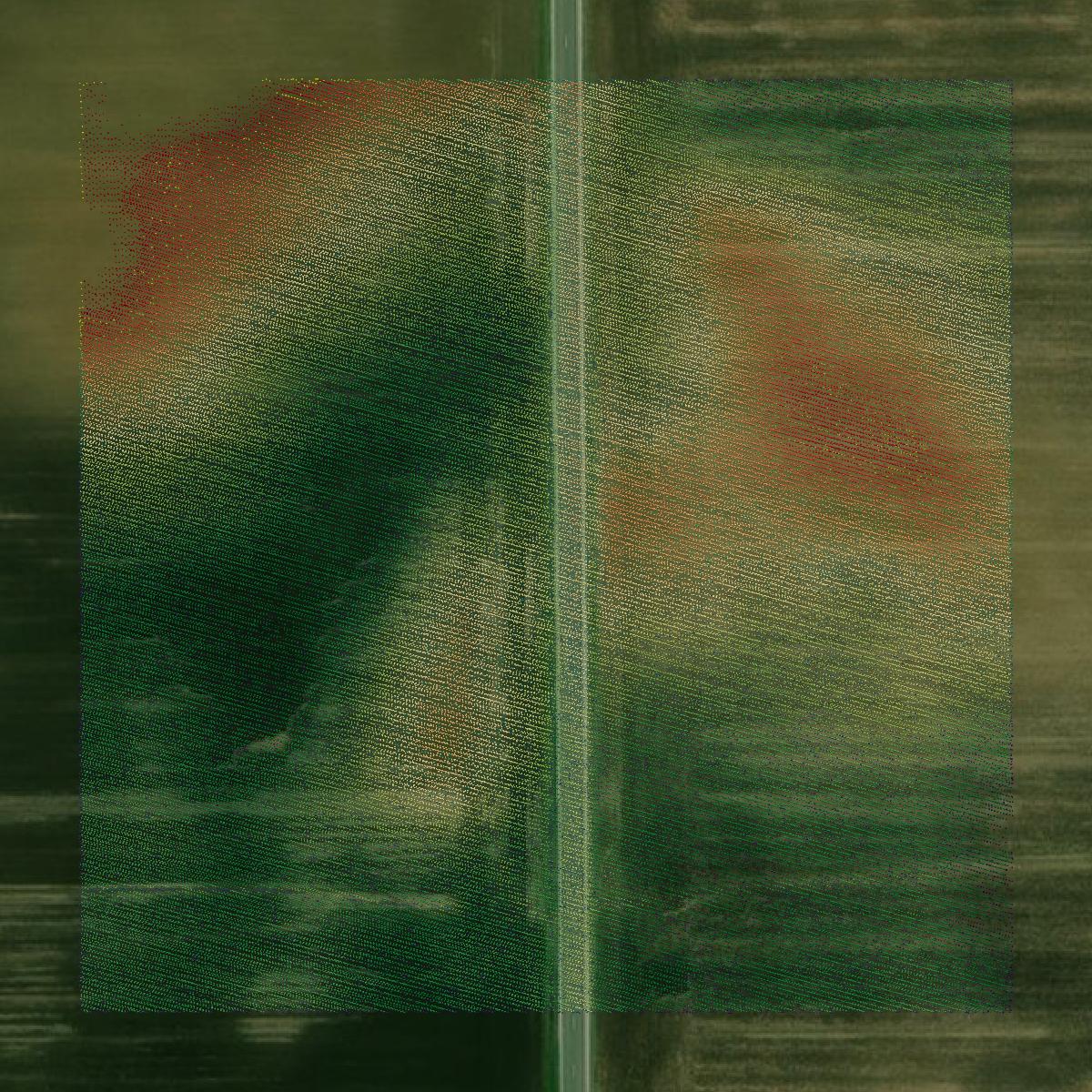 This image shows a LiDAR point cloud in Boone County created using GIS data in Equator.