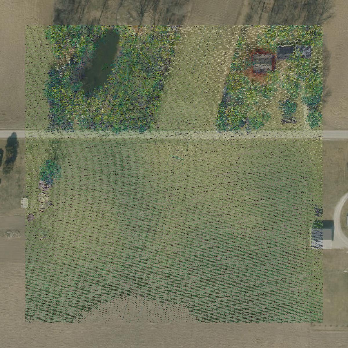 This image shows a LiDAR point cloud in Cass County created using GIS data in Equator.