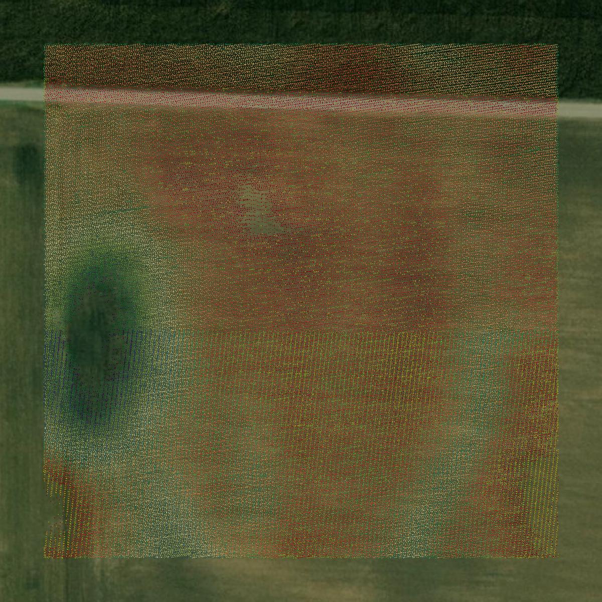 This image shows a LiDAR point cloud in Cass County created using GIS data in Equator.