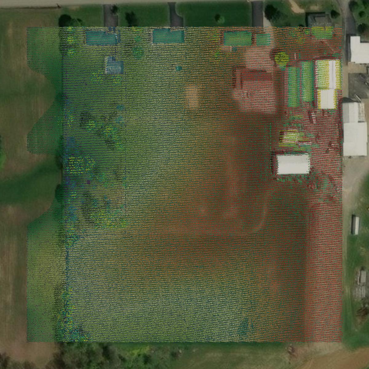 This image shows a LiDAR point cloud in Clark County created using GIS data in Equator.