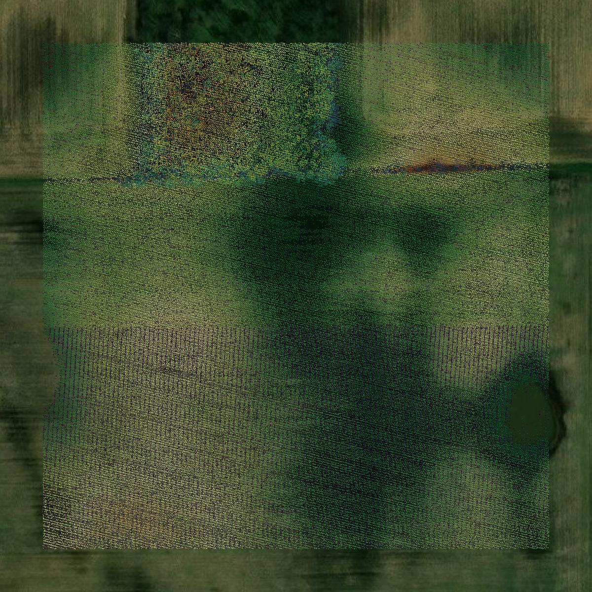 This image shows a LiDAR point cloud in Clinton County created using GIS data in Equator.