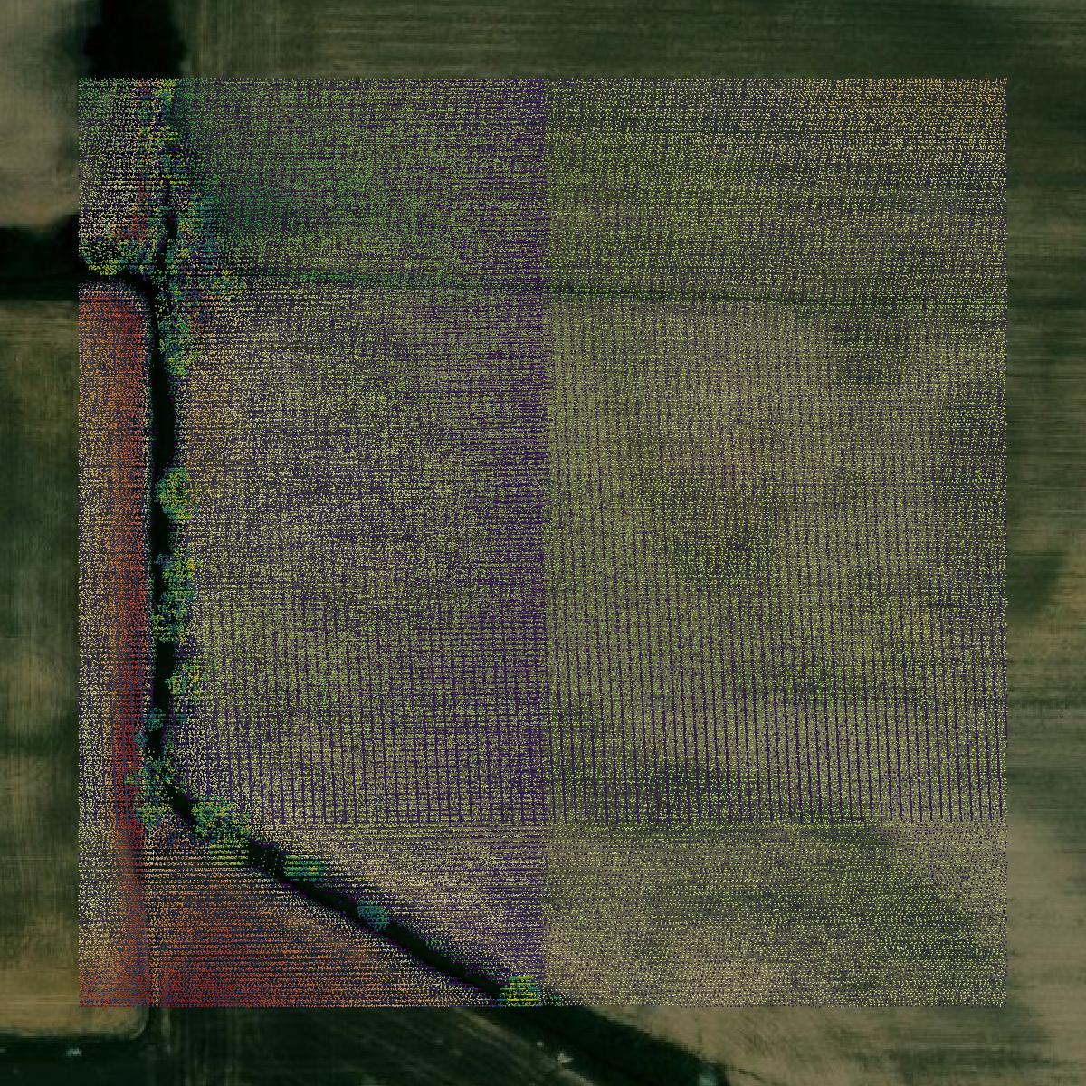 This image shows a LiDAR point cloud in Daviess County created using GIS data in Equator.